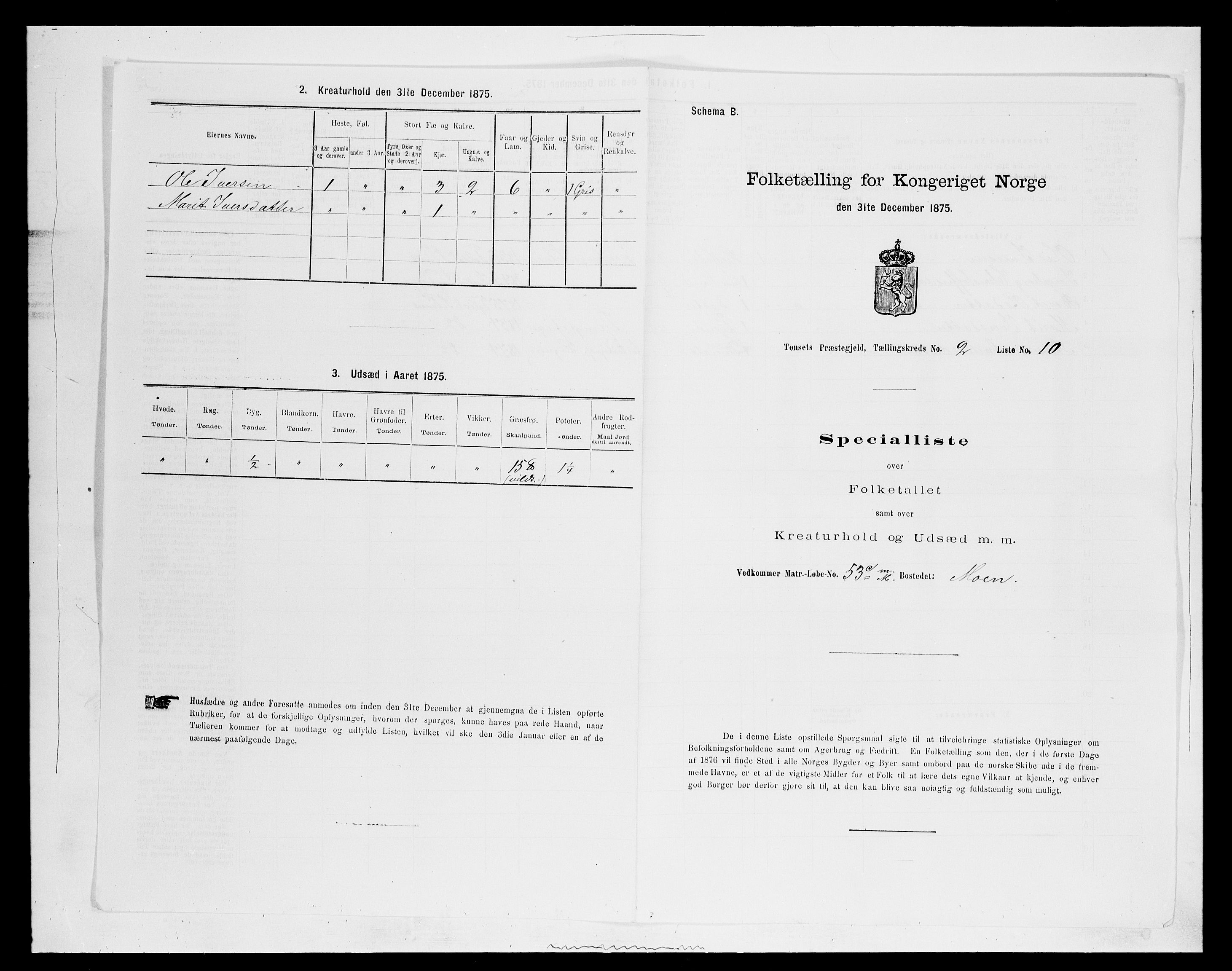 SAH, Folketelling 1875 for 0437P Tynset prestegjeld, 1875, s. 320