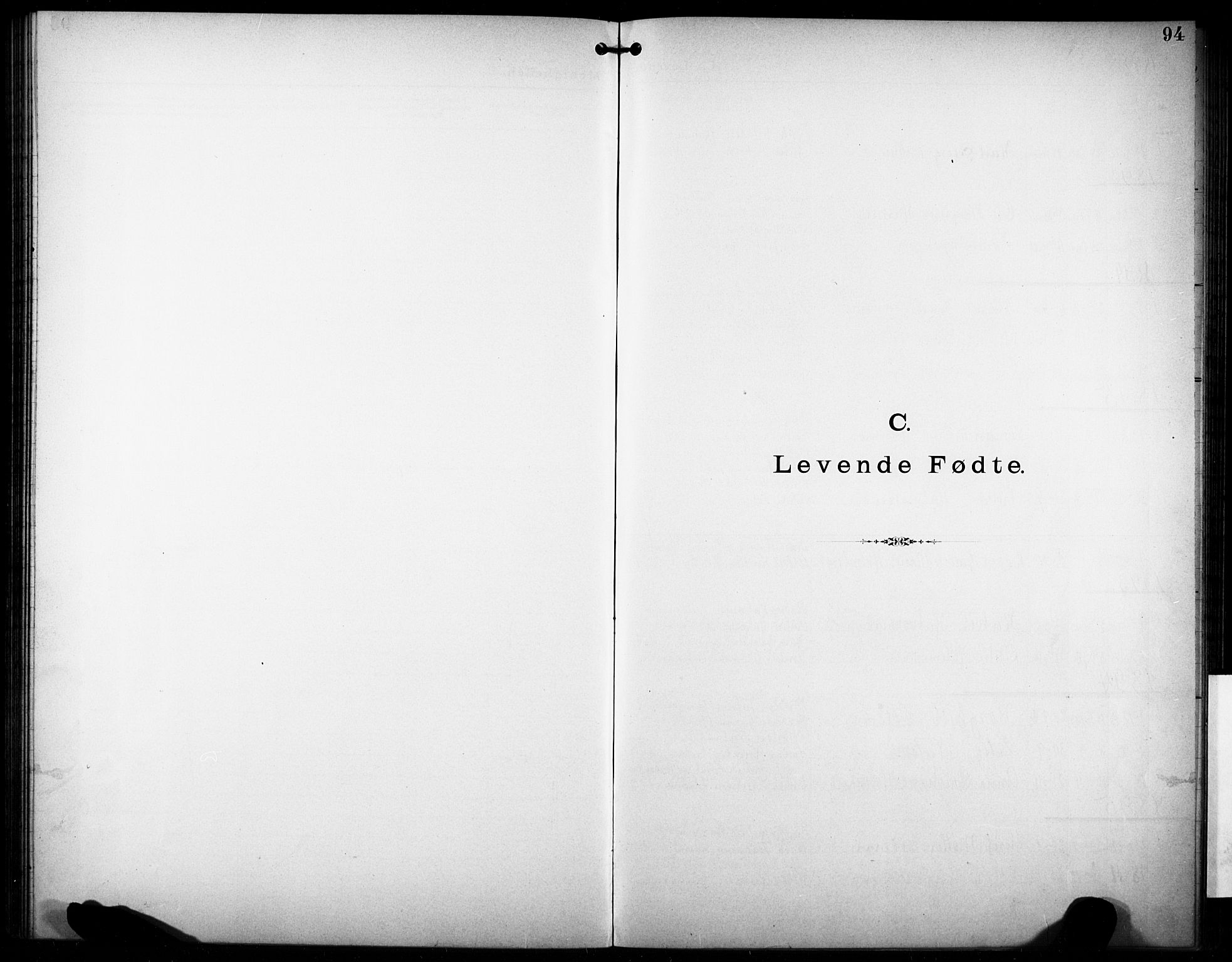 Den katolsk-apostoliske menighet i Larvik, SAKO/P-953/F/Fa/L0001: Dissenterprotokoll nr. 1, 1892-1933, s. 94