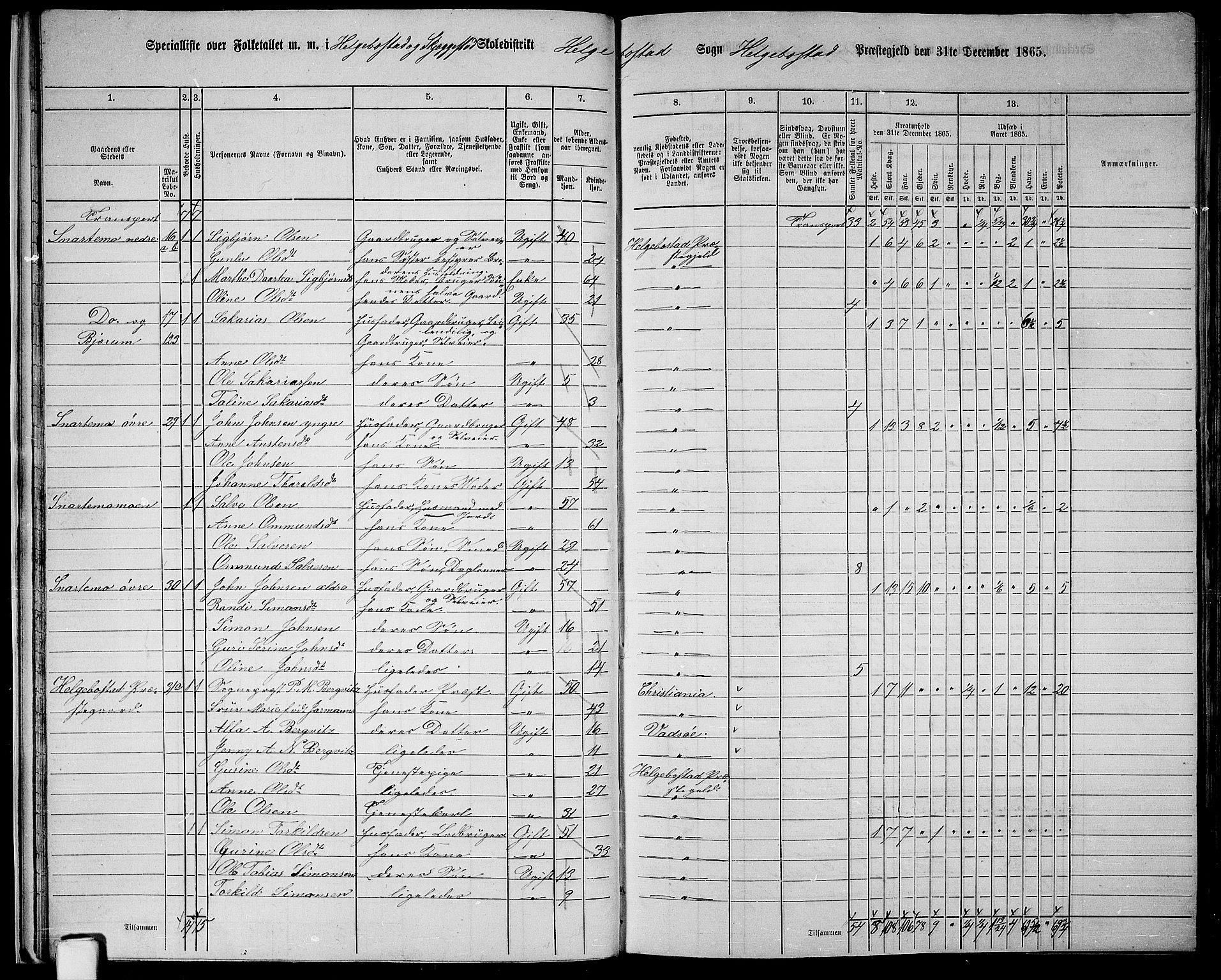 RA, Folketelling 1865 for 1034P Hægebostad prestegjeld, 1865, s. 22