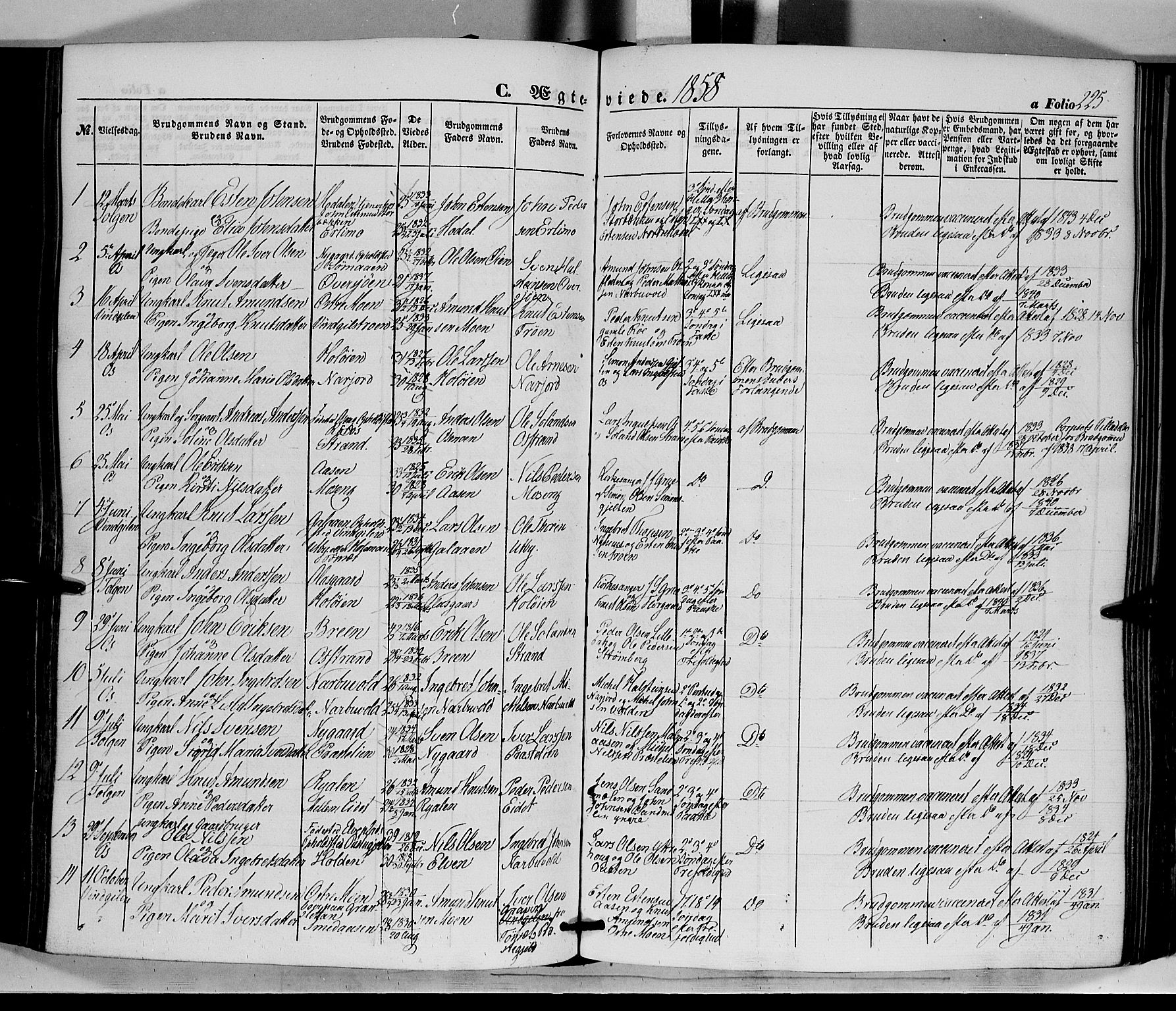 Tolga prestekontor, AV/SAH-PREST-062/K/L0006: Ministerialbok nr. 6, 1852-1876, s. 225