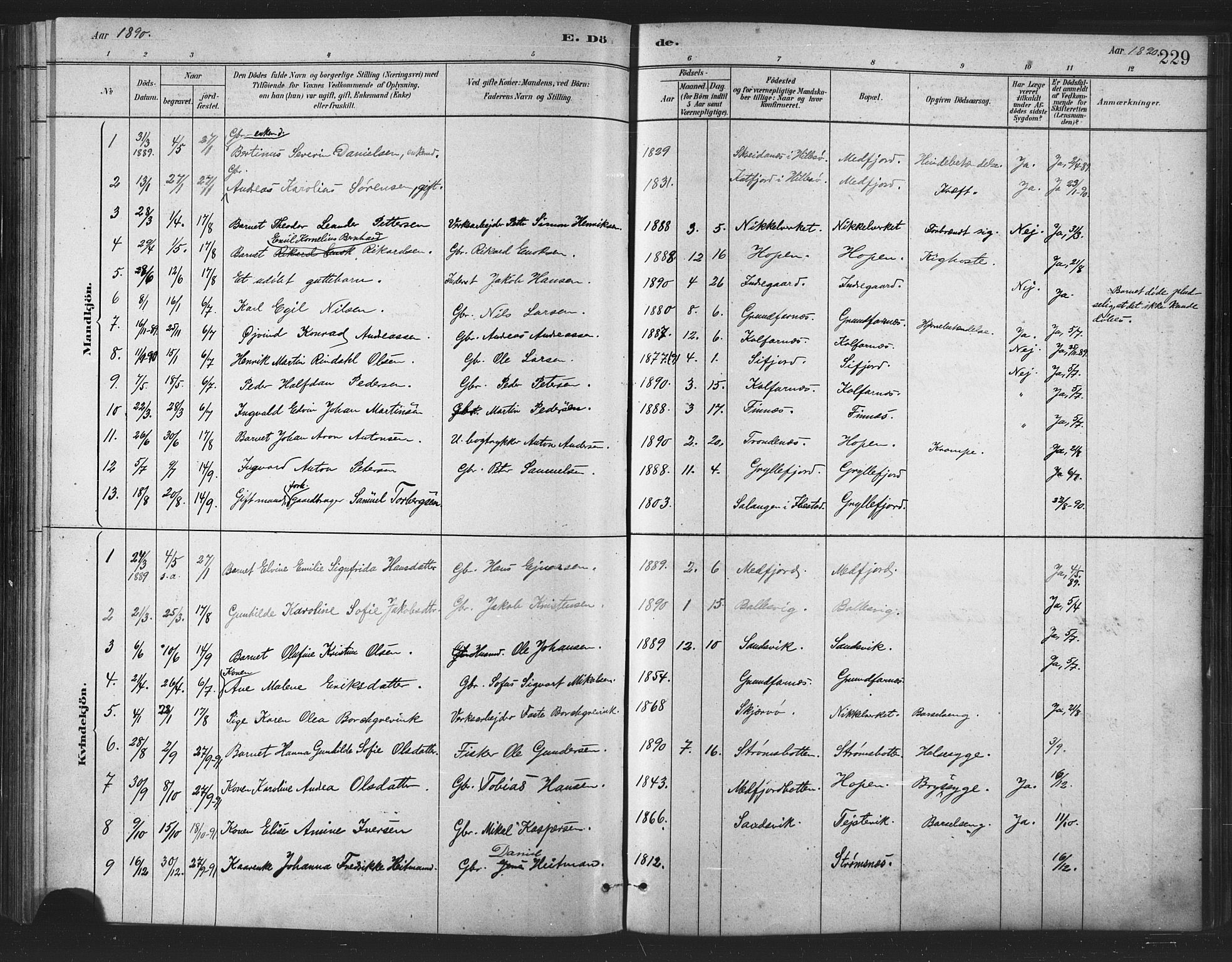 Berg sokneprestkontor, AV/SATØ-S-1318/G/Ga/Gaa/L0004kirke: Ministerialbok nr. 4, 1880-1894, s. 229