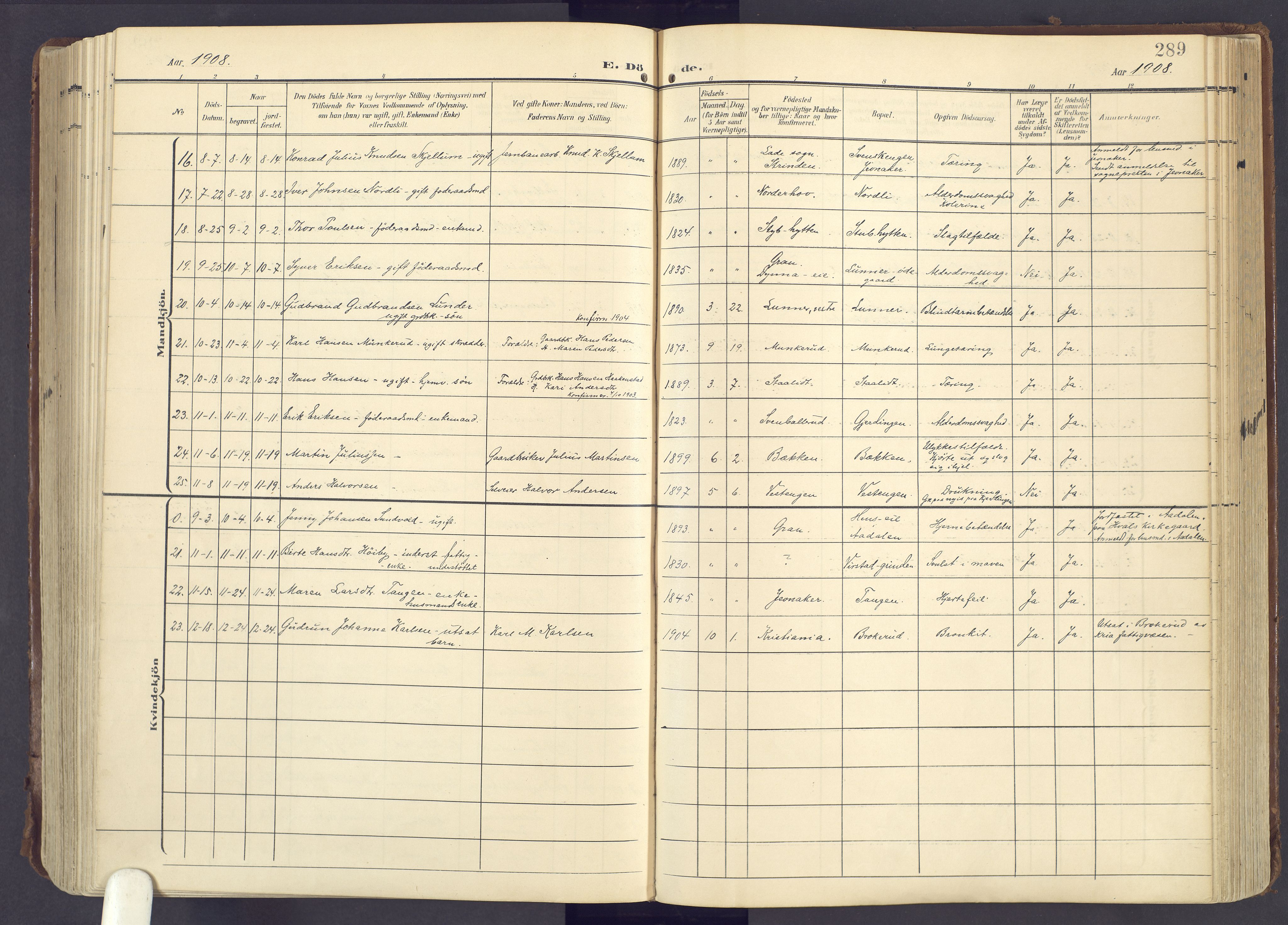 Lunner prestekontor, SAH/PREST-118/H/Ha/Haa/L0001: Ministerialbok nr. 1, 1907-1922, s. 289