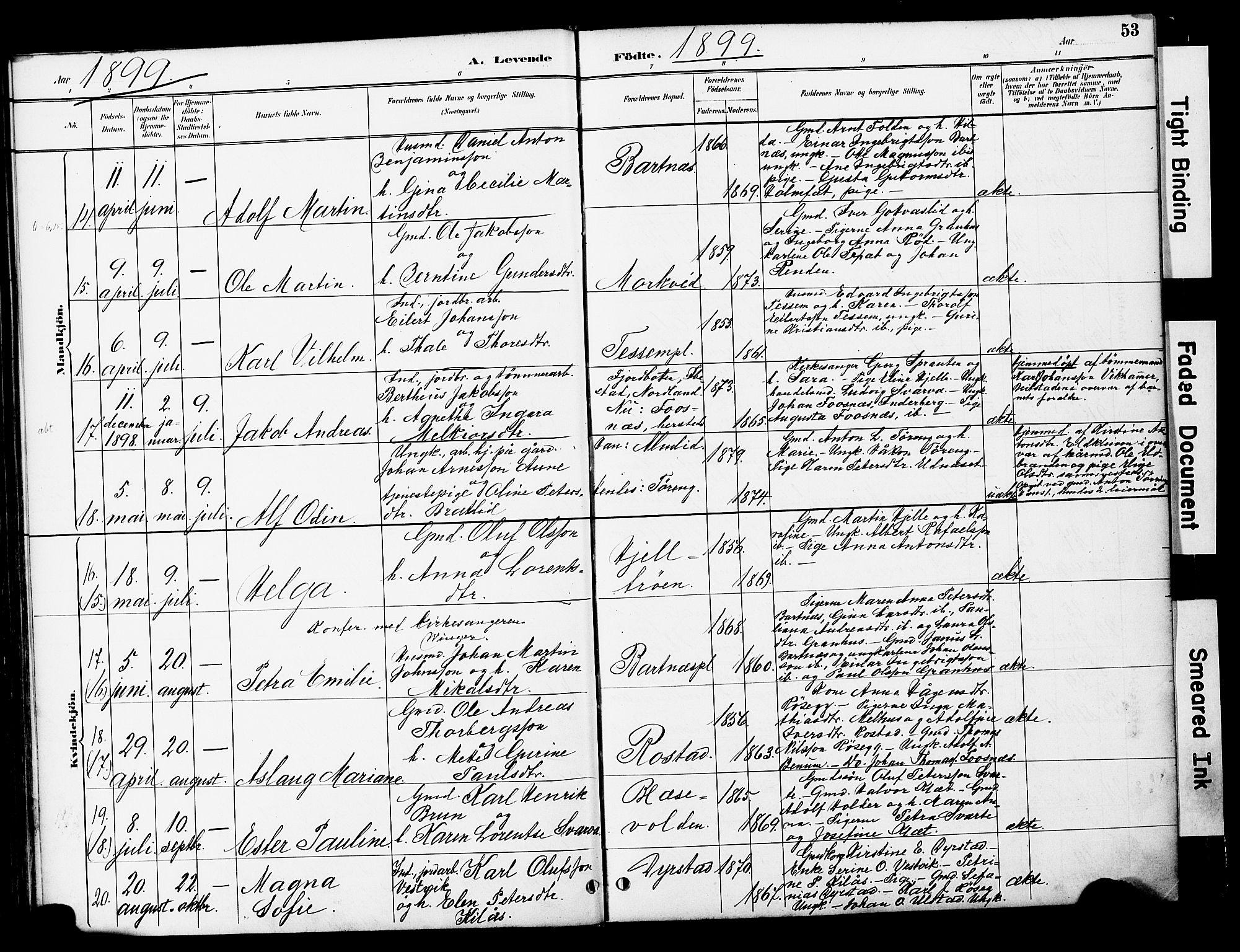 Ministerialprotokoller, klokkerbøker og fødselsregistre - Nord-Trøndelag, AV/SAT-A-1458/741/L0396: Ministerialbok nr. 741A10, 1889-1901, s. 53