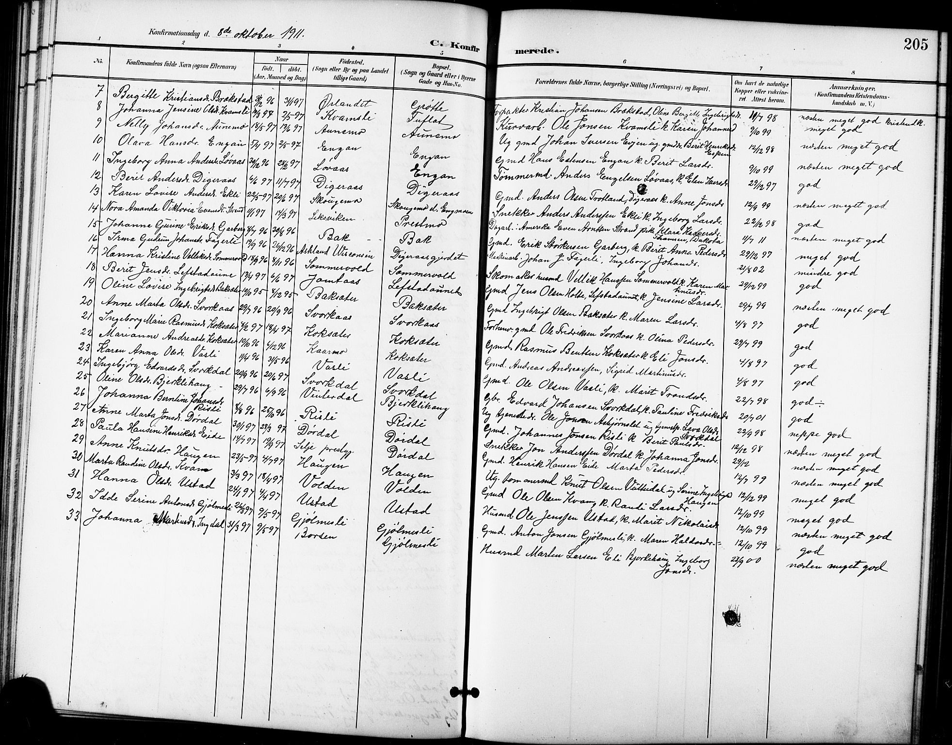 Ministerialprotokoller, klokkerbøker og fødselsregistre - Sør-Trøndelag, AV/SAT-A-1456/668/L0819: Klokkerbok nr. 668C08, 1899-1912, s. 205