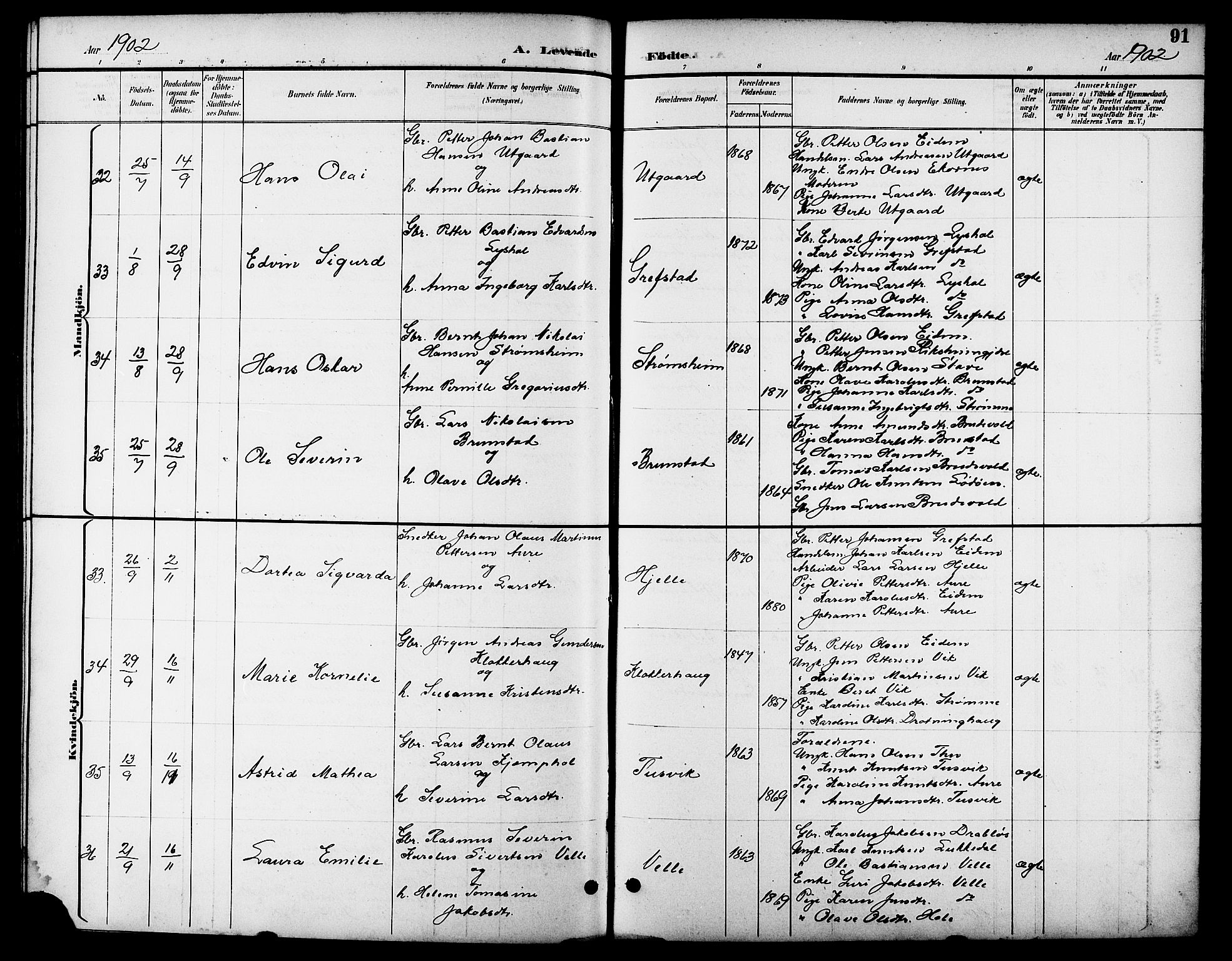 Ministerialprotokoller, klokkerbøker og fødselsregistre - Møre og Romsdal, AV/SAT-A-1454/523/L0340: Klokkerbok nr. 523C03, 1892-1902, s. 91