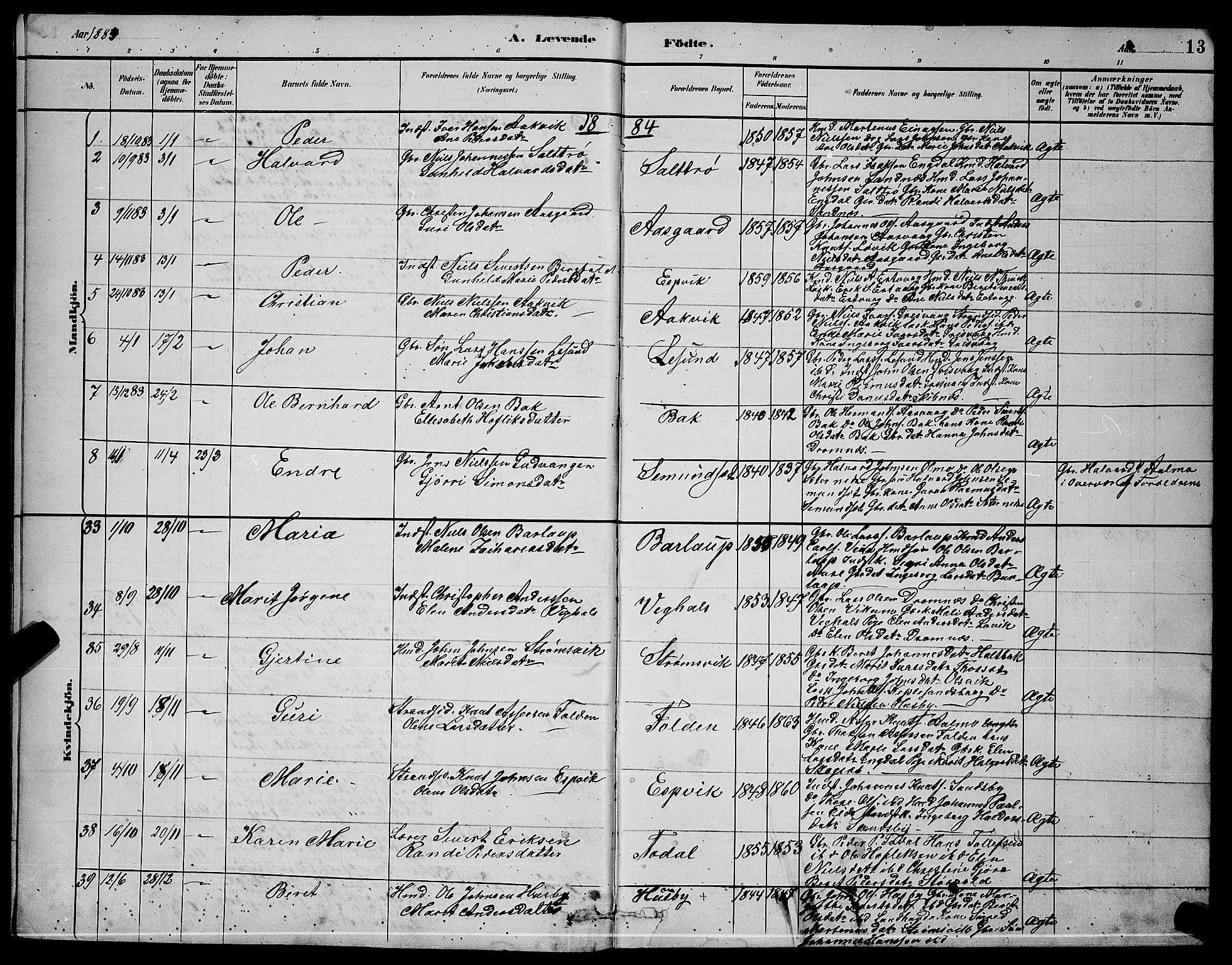 Ministerialprotokoller, klokkerbøker og fødselsregistre - Møre og Romsdal, AV/SAT-A-1454/578/L0909: Klokkerbok nr. 578C02, 1882-1900, s. 13