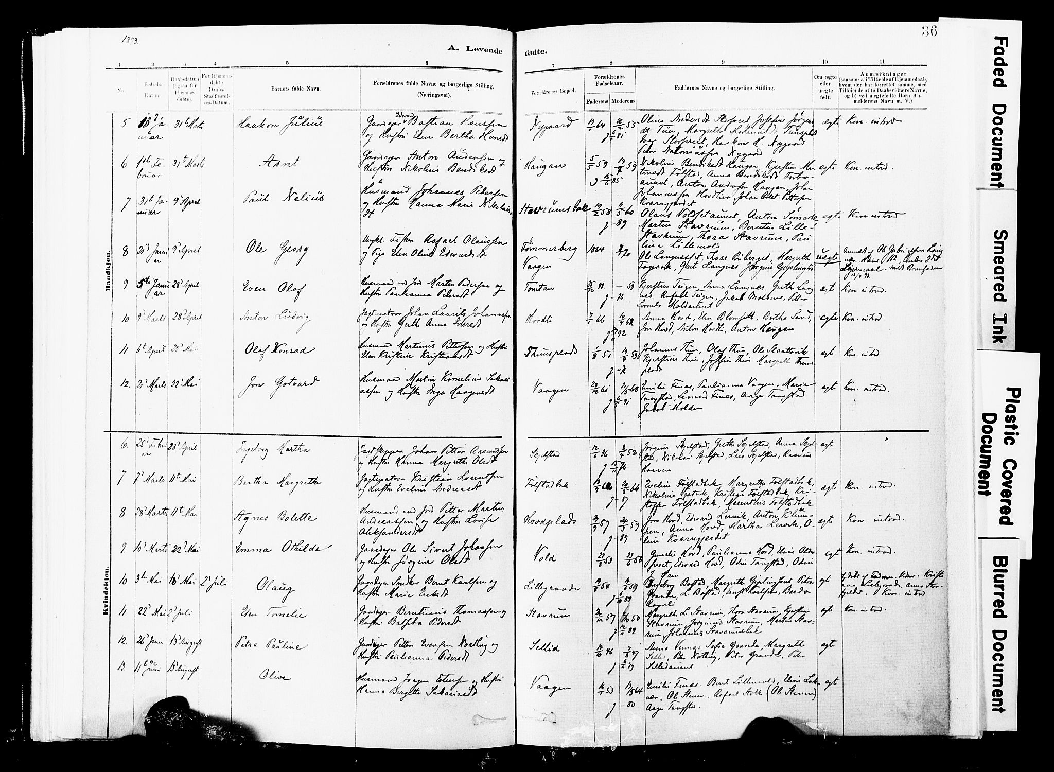 Ministerialprotokoller, klokkerbøker og fødselsregistre - Nord-Trøndelag, SAT/A-1458/744/L0420: Ministerialbok nr. 744A04, 1882-1904, s. 36