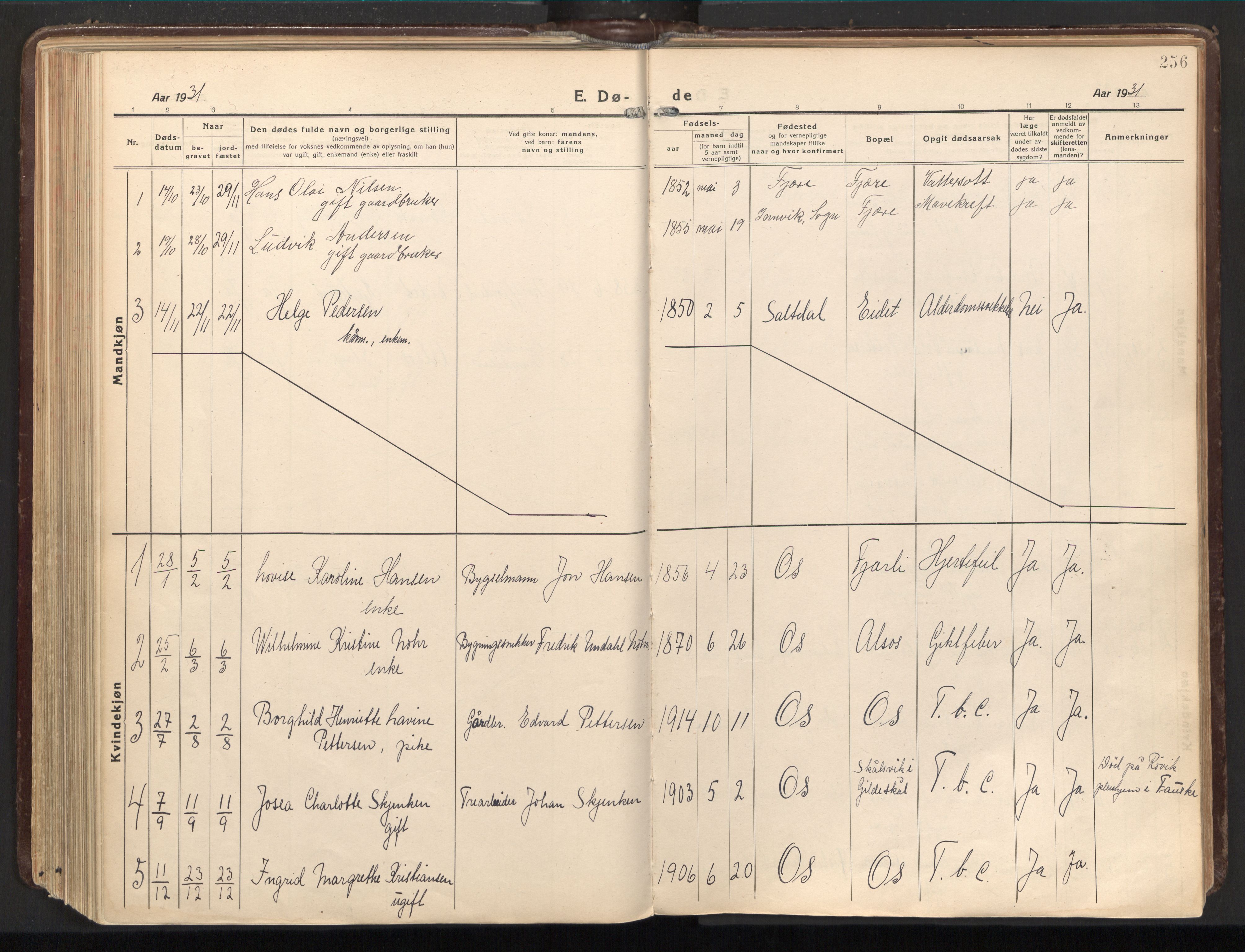 Ministerialprotokoller, klokkerbøker og fødselsregistre - Nordland, AV/SAT-A-1459/803/L0073: Ministerialbok nr. 803A03, 1920-1955, s. 256