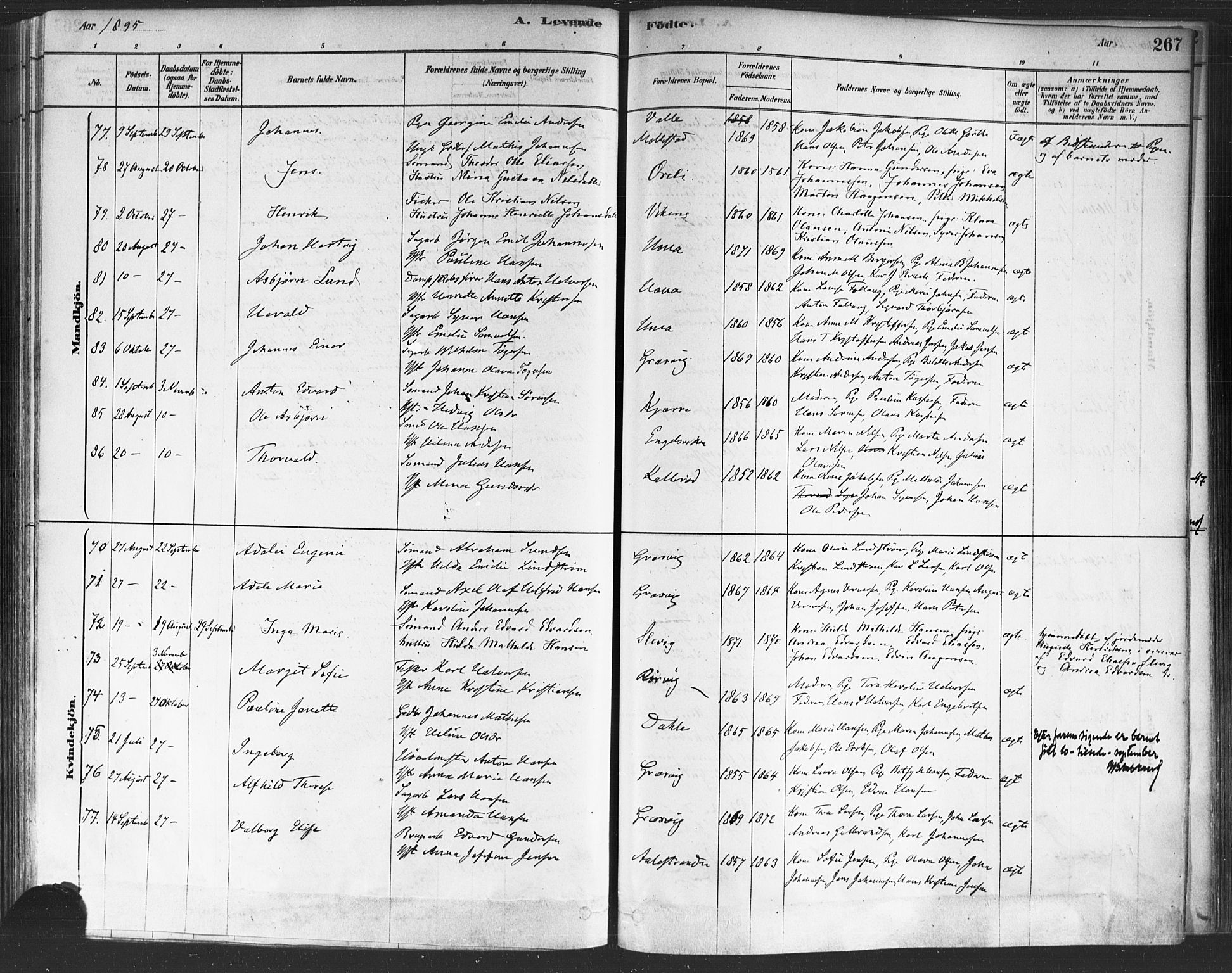 Onsøy prestekontor Kirkebøker, AV/SAO-A-10914/F/Fa/L0005: Ministerialbok nr. I 5, 1878-1898, s. 267