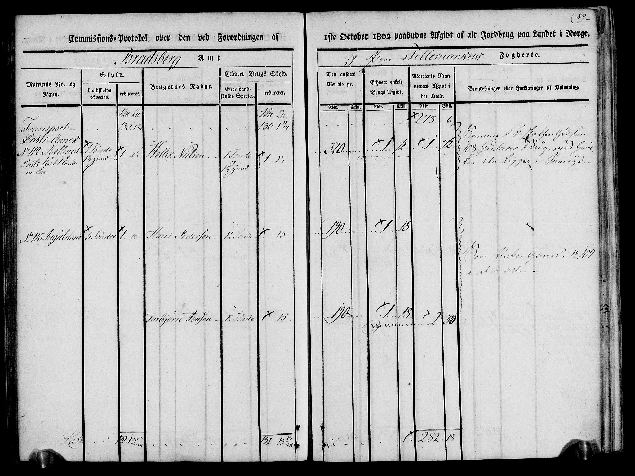 Rentekammeret inntil 1814, Realistisk ordnet avdeling, AV/RA-EA-4070/N/Ne/Nea/L0074: Øvre Telemarken fogderi. Kommisjonsprotokoll for fogderiets østre del - Tinn, Hjartdal og Seljord prestegjeld., 1803, s. 89