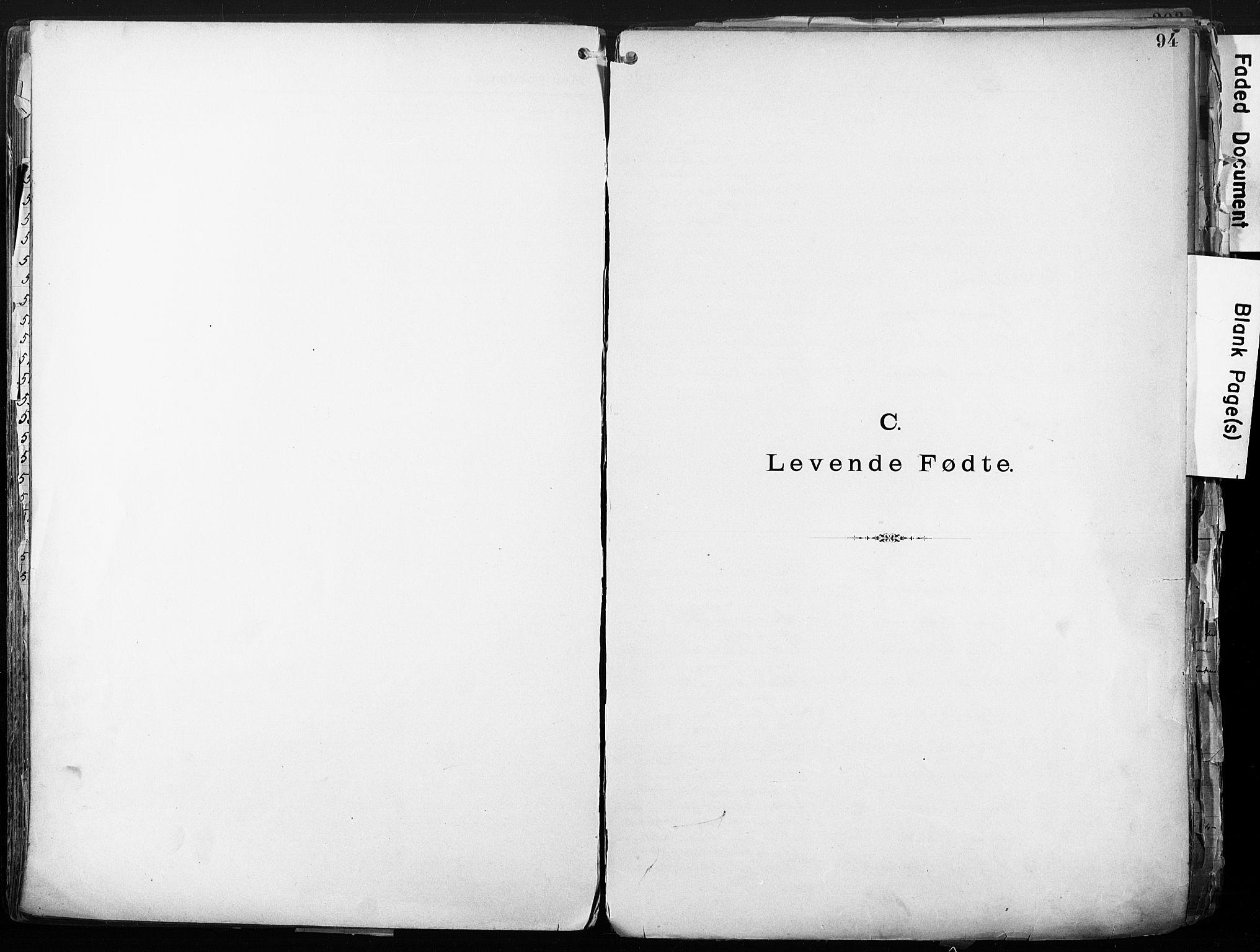 Sarpsborg metodistkirke, AV/SAO-PAO-0233/A/L0004: Dissenterprotokoll nr. 4, 1892-1923, s. 94