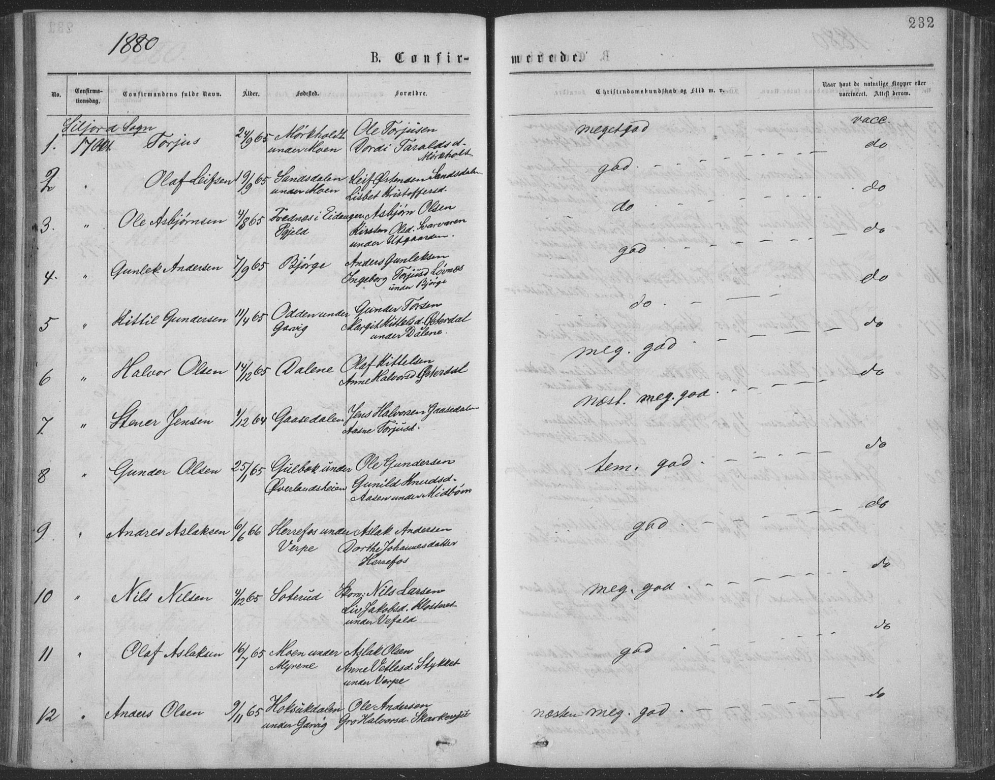 Seljord kirkebøker, AV/SAKO-A-20/F/Fa/L0014: Ministerialbok nr. I 14, 1877-1886, s. 232