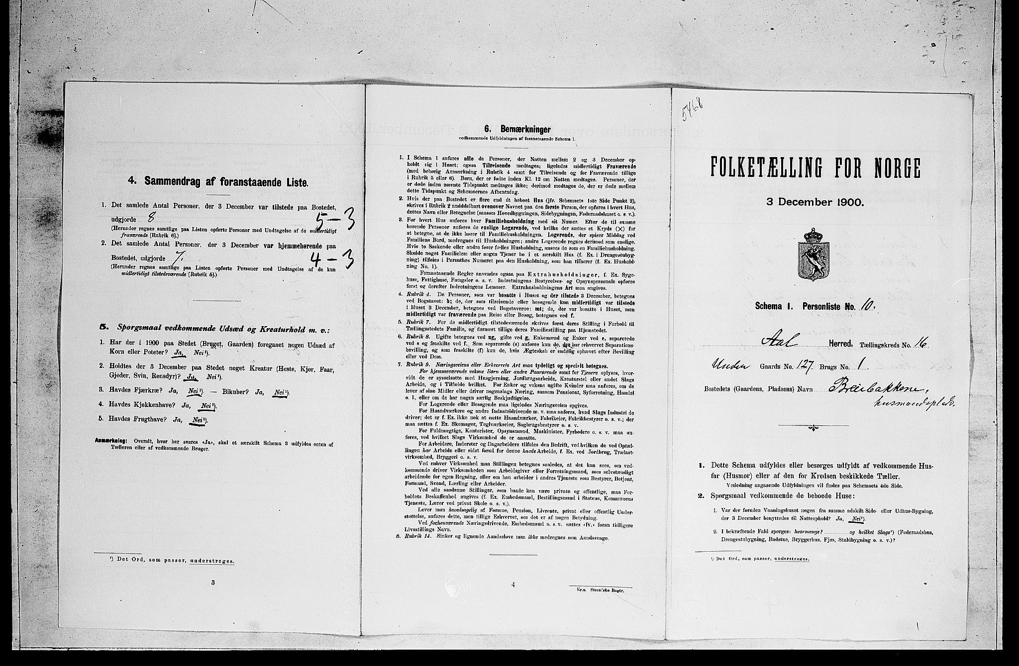 RA, Folketelling 1900 for 0619 Ål herred, 1900, s. 1268