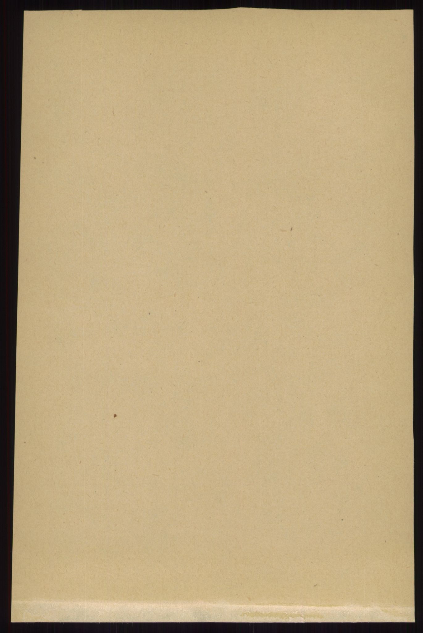 RA, Folketelling 1891 for 0432 Ytre Rendal herred, 1891, s. 2091