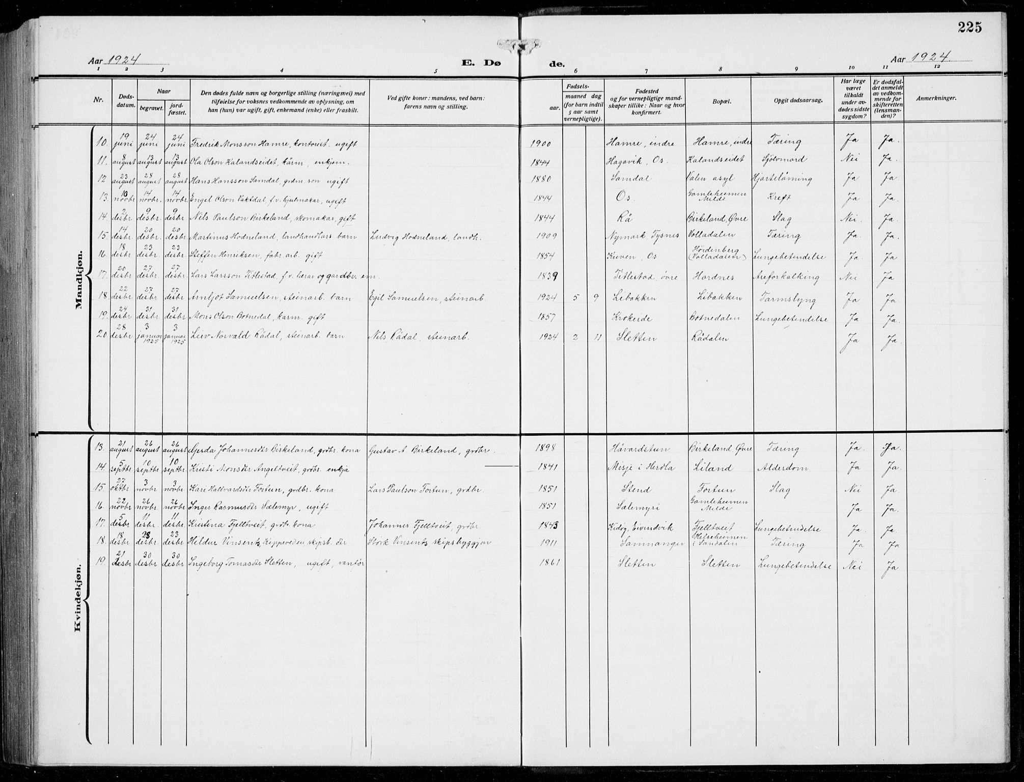 Fana Sokneprestembete, AV/SAB-A-75101/H/Hab/Haba/L0005: Klokkerbok nr. A 5, 1911-1932, s. 225