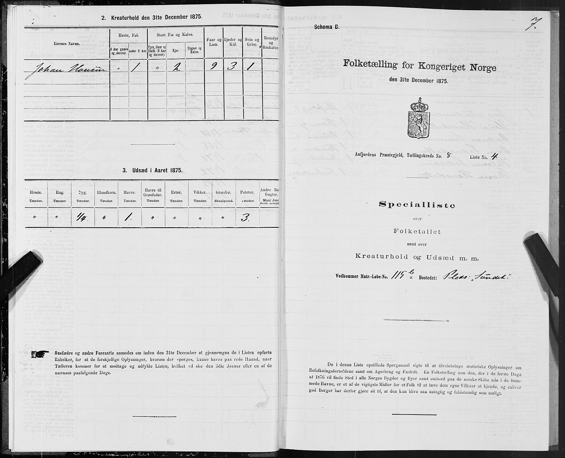 SAT, Folketelling 1875 for 1630P Aafjorden prestegjeld, 1875, s. 4007