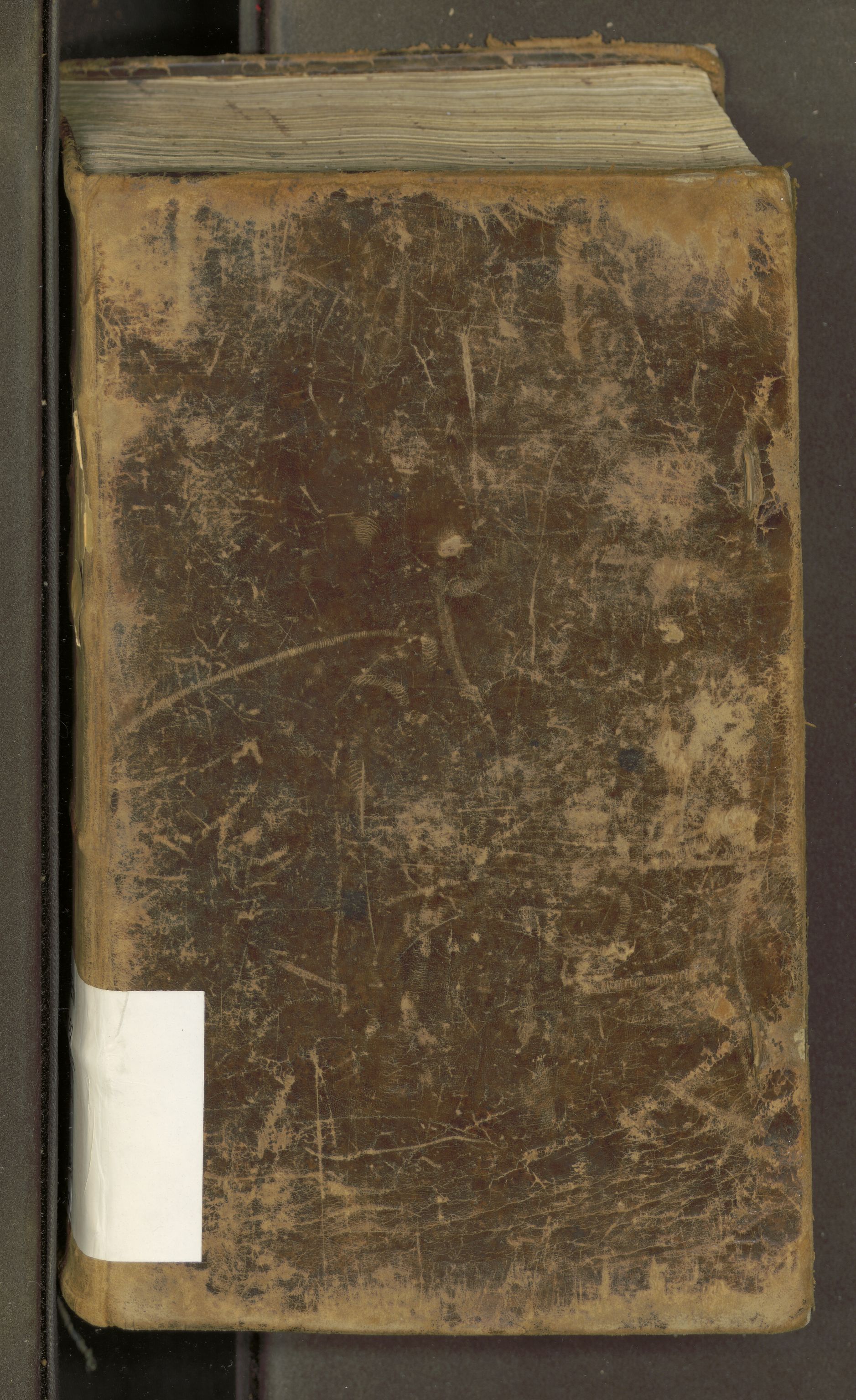 Trondheim byfogd, AV/SAT-A-0003/1/1/1B/L0002: Ekstrarettsprotokoll - 23/10-8/8. Dommer., 1818-1822