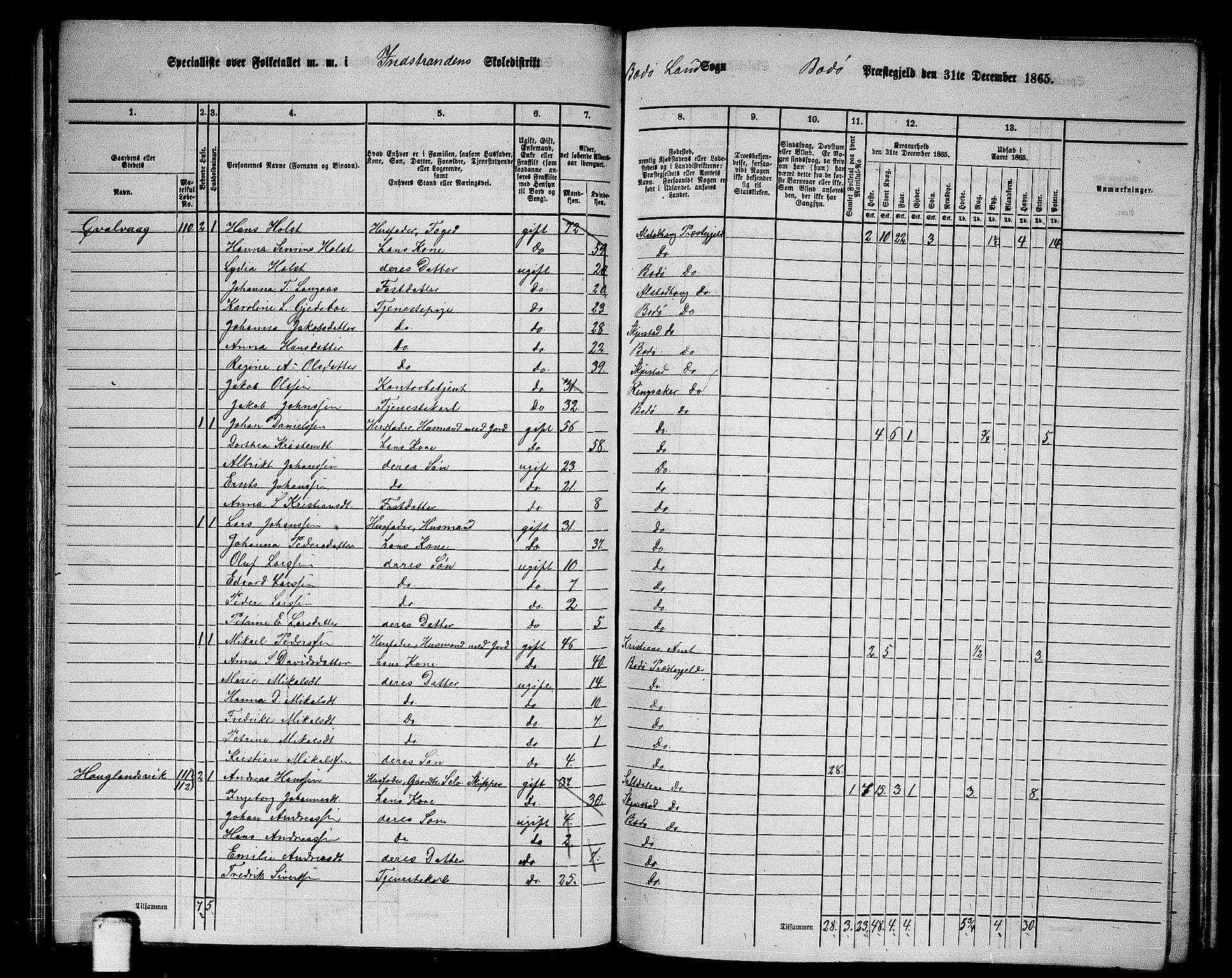 RA, Folketelling 1865 for 1843L Bodø prestegjeld, Bodø landsokn, 1865, s. 69