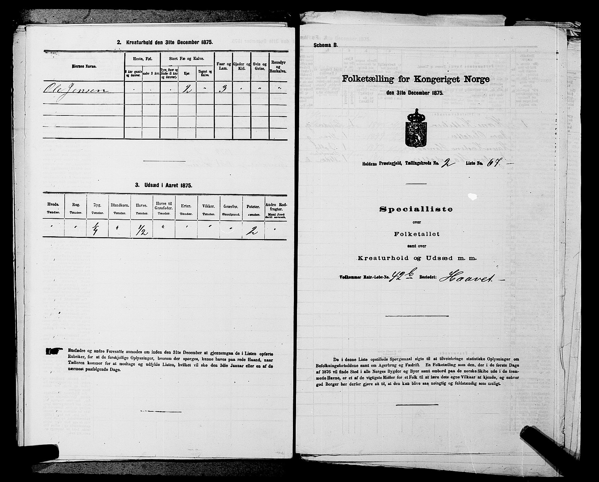 SAKO, Folketelling 1875 for 0819P Holla prestegjeld, 1875, s. 274