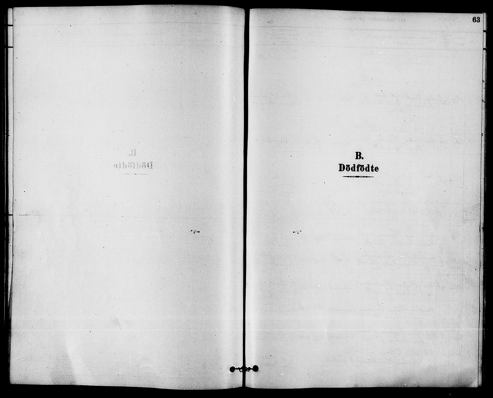 Solum kirkebøker, SAKO/A-306/F/Fb/L0001: Ministerialbok nr. II 1, 1877-1892, s. 63