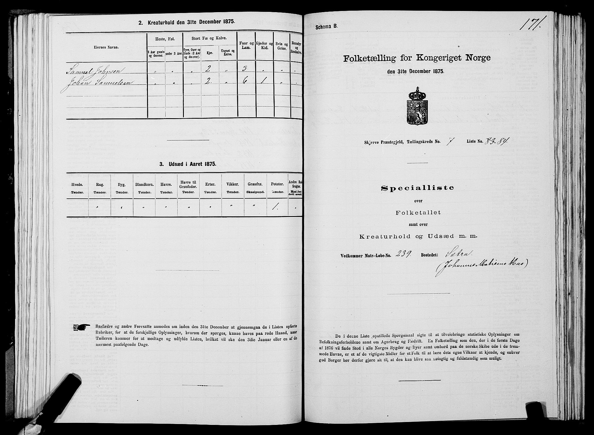 SATØ, Folketelling 1875 for 1941P Skjervøy prestegjeld, 1875, s. 6171