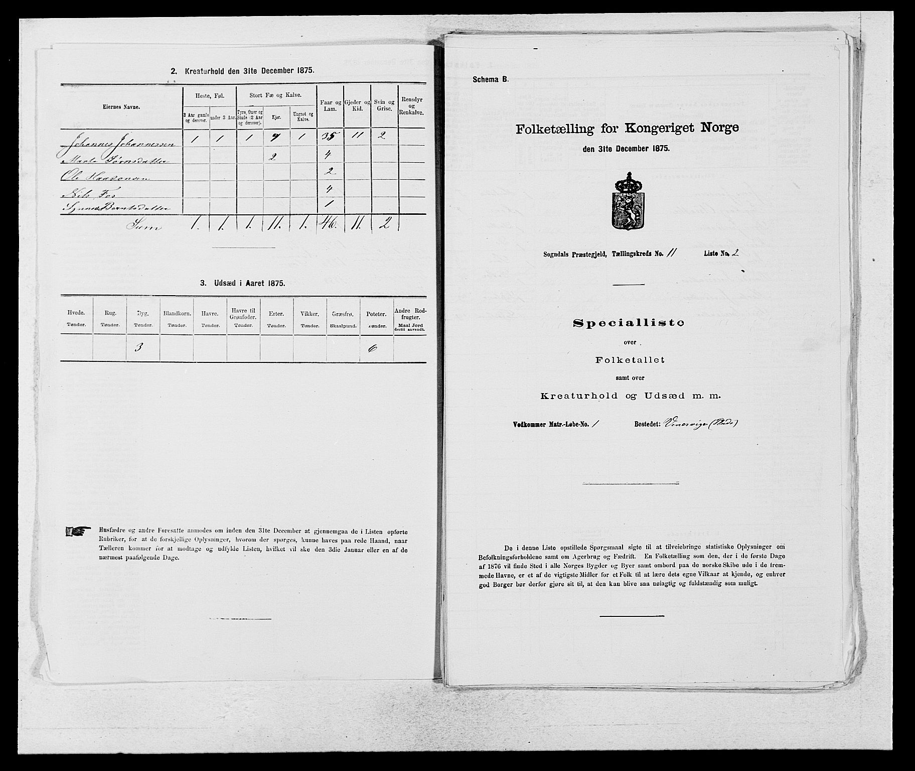 SAB, Folketelling 1875 for 1420P Sogndal prestegjeld, 1875, s. 982