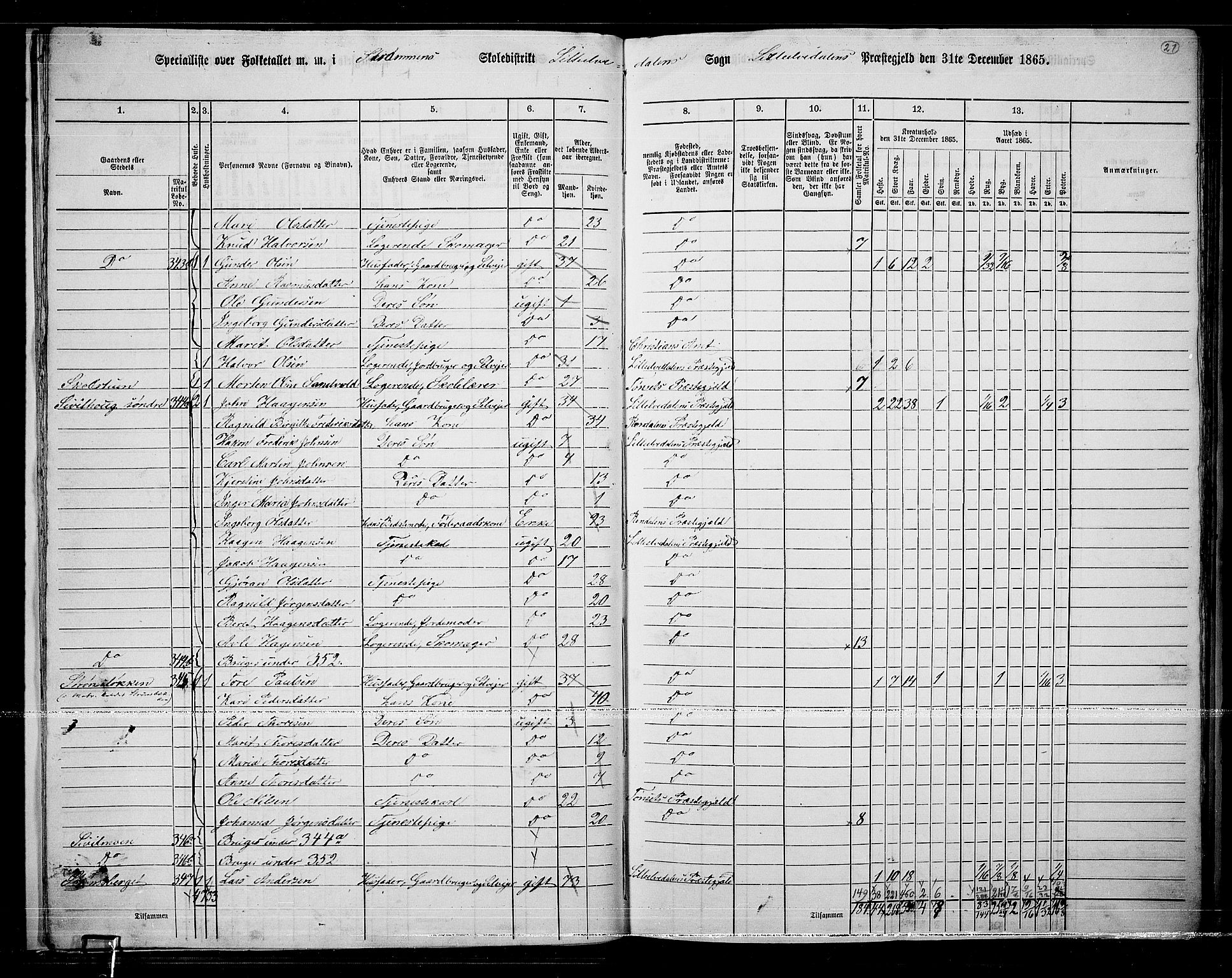 RA, Folketelling 1865 for 0438P Lille Elvedalen prestegjeld, 1865, s. 20