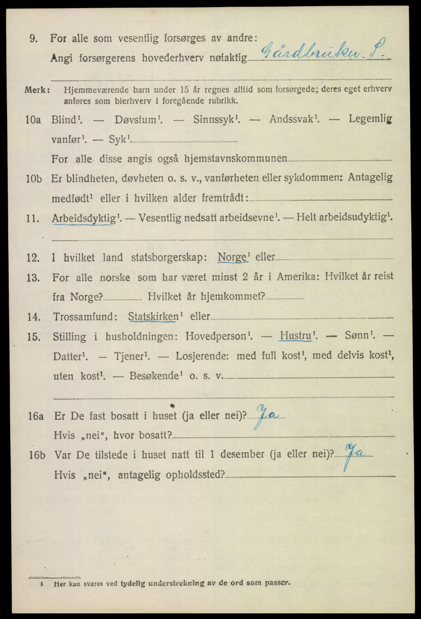 SAK, Folketelling 1920 for 0936 Hornnes herred, 1920, s. 3010