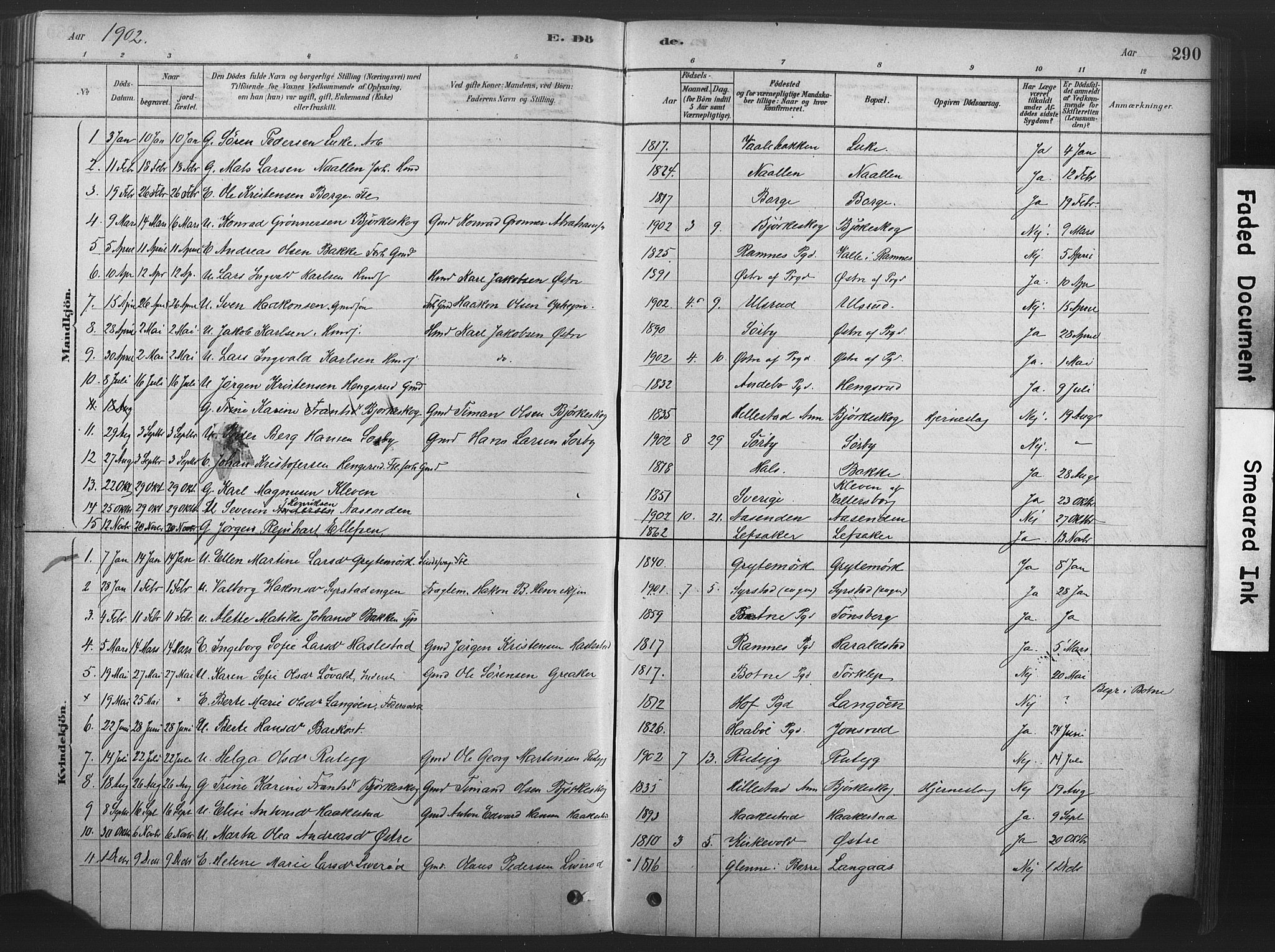 Våle kirkebøker, AV/SAKO-A-334/F/Fa/L0011: Ministerialbok nr. I 11, 1878-1906, s. 290