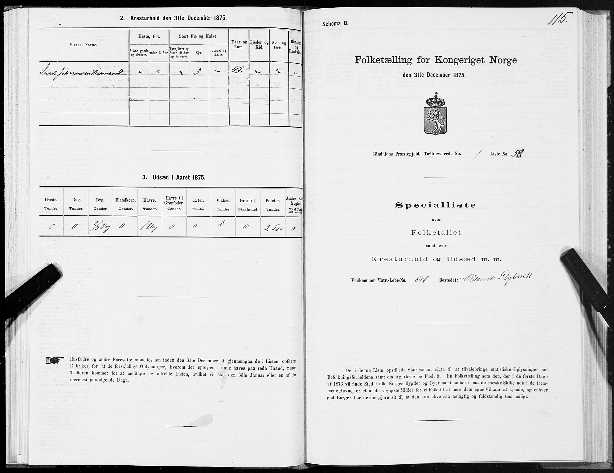 SAT, Folketelling 1875 for 1811P Bindal prestegjeld, 1875, s. 1115
