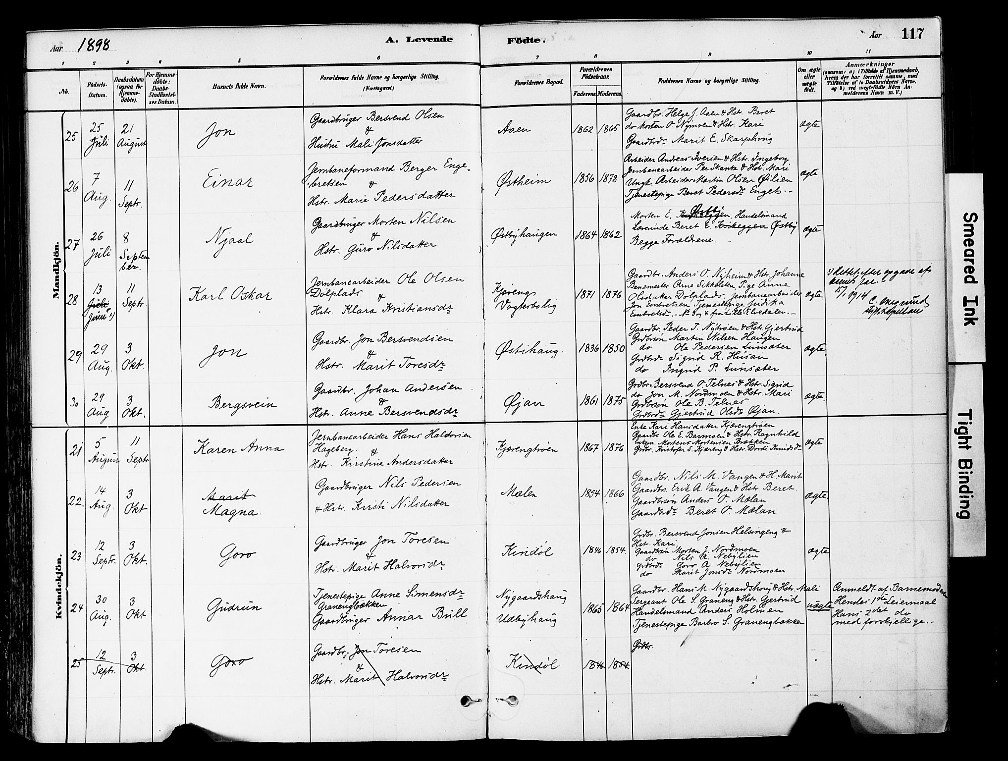 Tynset prestekontor, AV/SAH-PREST-058/H/Ha/Haa/L0022: Ministerialbok nr. 22, 1880-1899, s. 117