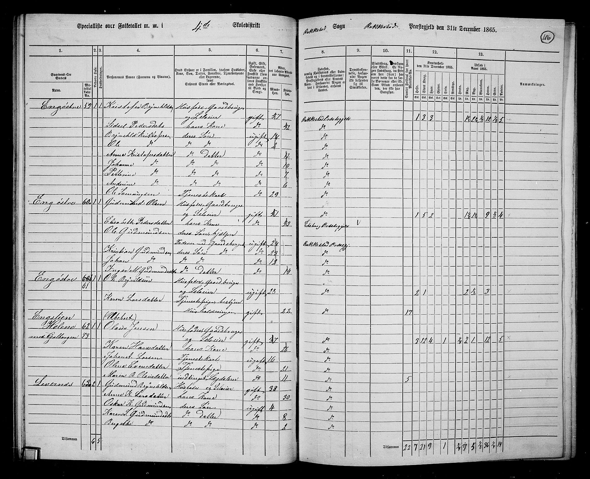 RA, Folketelling 1865 for 0128P Rakkestad prestegjeld, 1865, s. 114