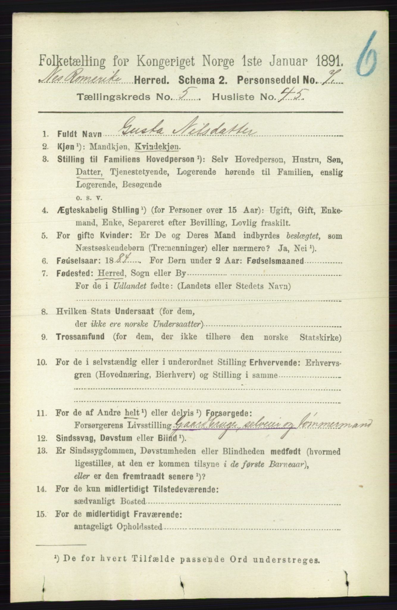 RA, Folketelling 1891 for 0236 Nes herred, 1891, s. 3062