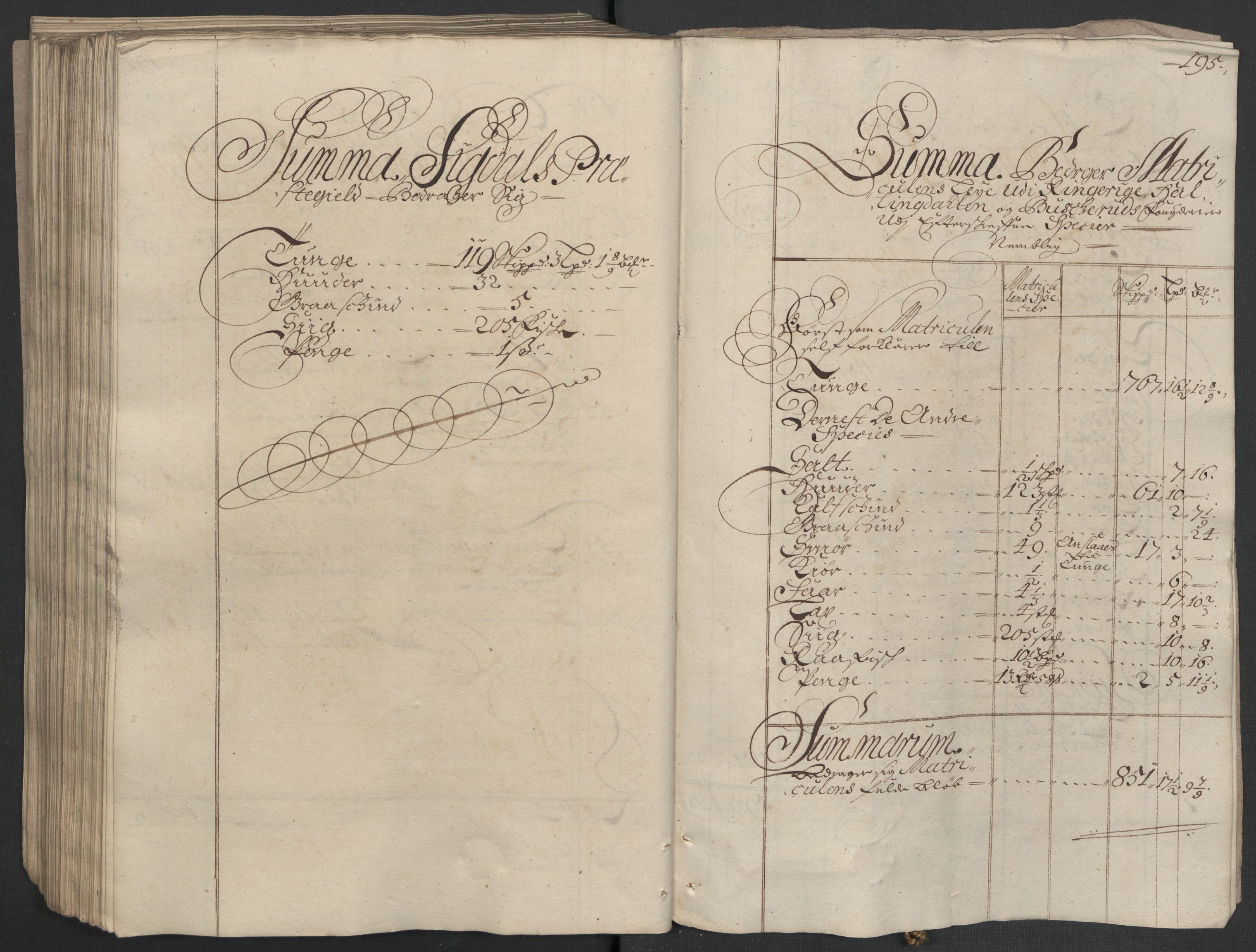 Rentekammeret inntil 1814, Reviderte regnskaper, Fogderegnskap, AV/RA-EA-4092/R22/L1455: Fogderegnskap Ringerike, Hallingdal og Buskerud, 1698, s. 217