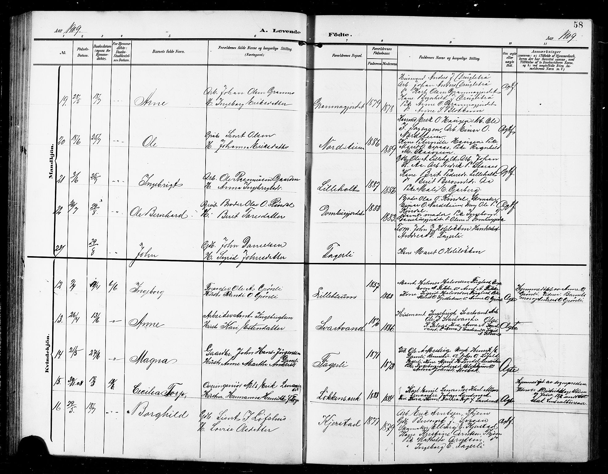 Ministerialprotokoller, klokkerbøker og fødselsregistre - Sør-Trøndelag, AV/SAT-A-1456/672/L0864: Klokkerbok nr. 672C03, 1902-1914, s. 58