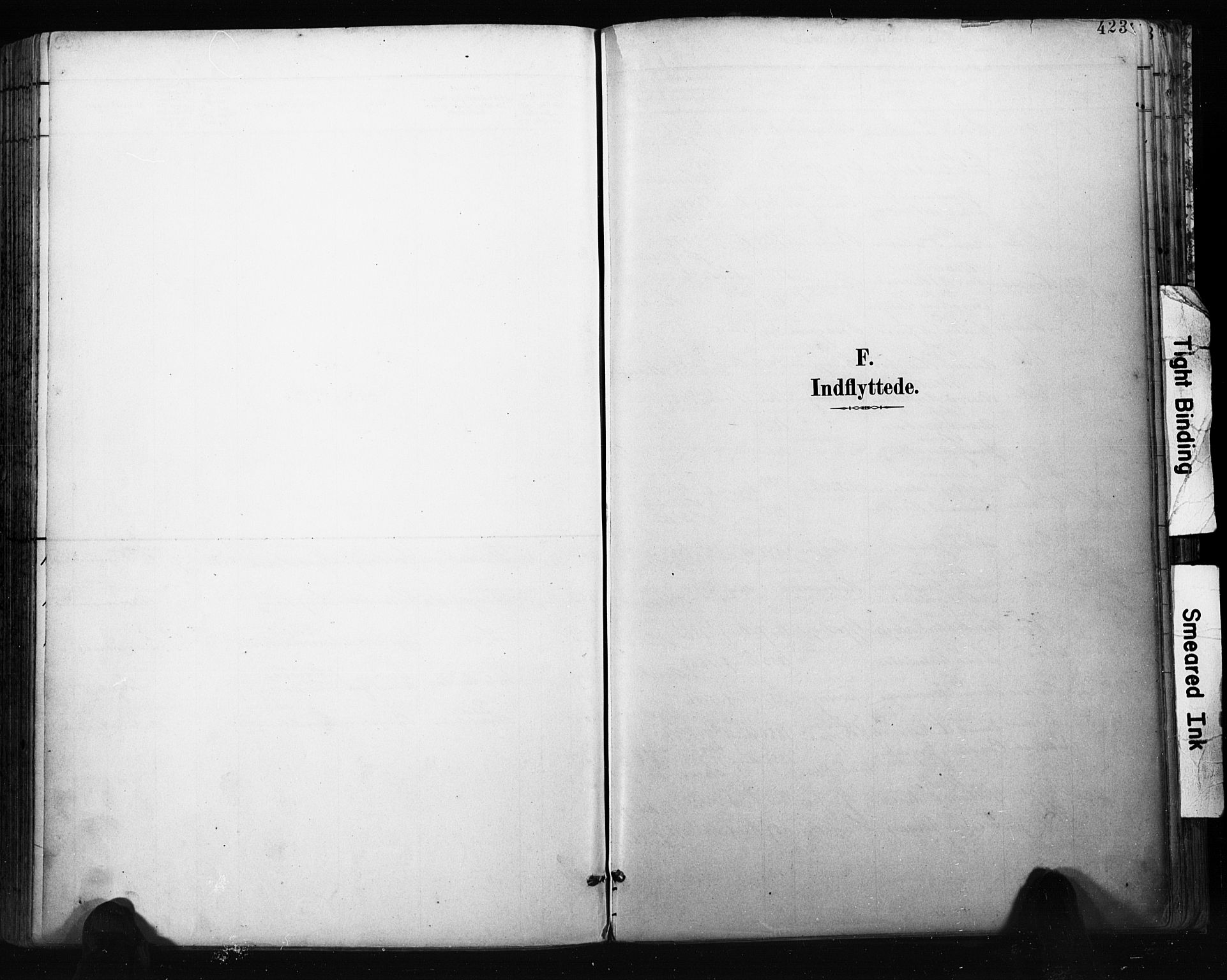 Bragernes kirkebøker, AV/SAKO-A-6/F/Fb/L0007: Ministerialbok nr. II 7, 1885-1893, s. 423