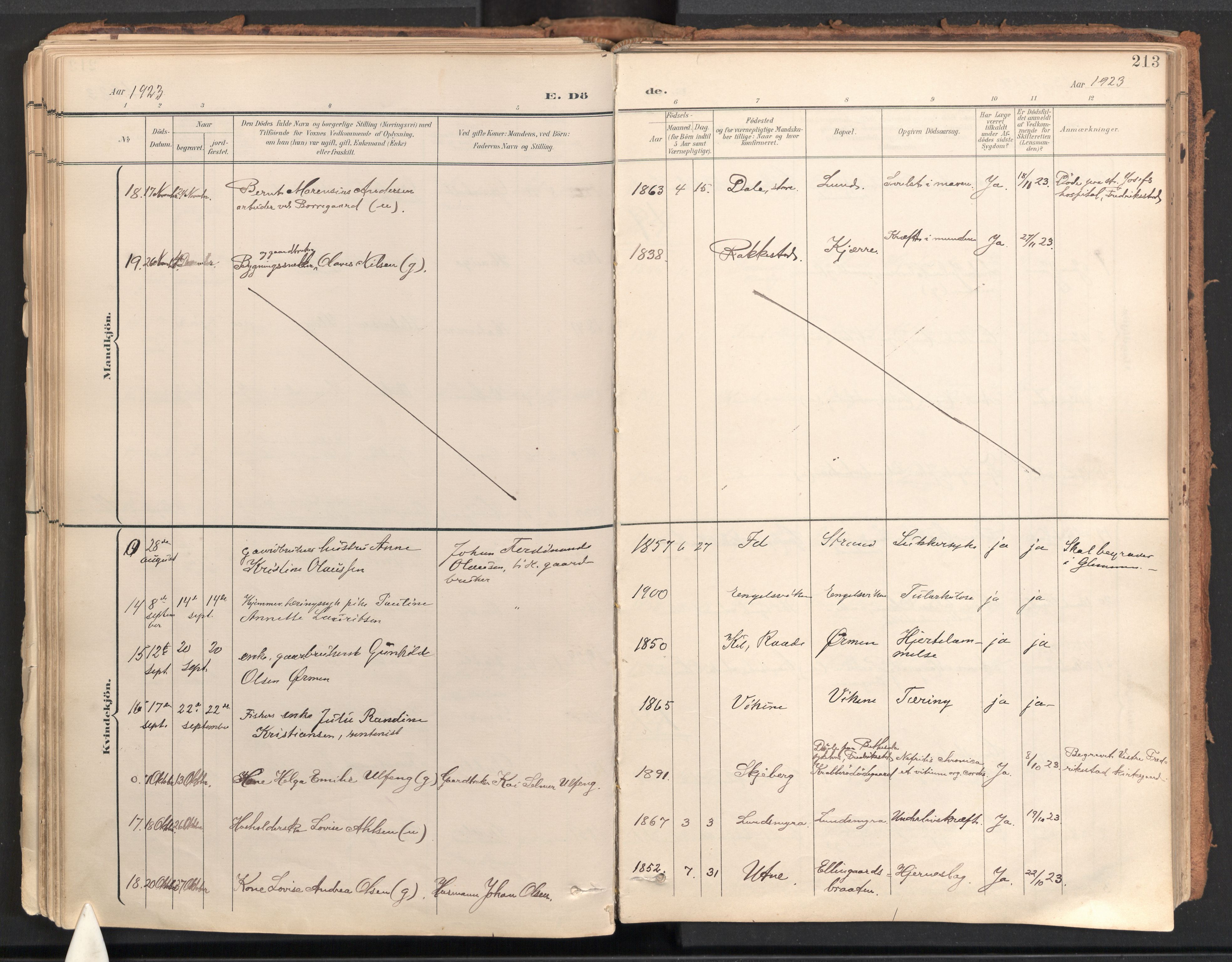 Onsøy prestekontor Kirkebøker, AV/SAO-A-10914/F/Fa/L0009: Ministerialbok nr. I 9, 1899-1966, s. 213
