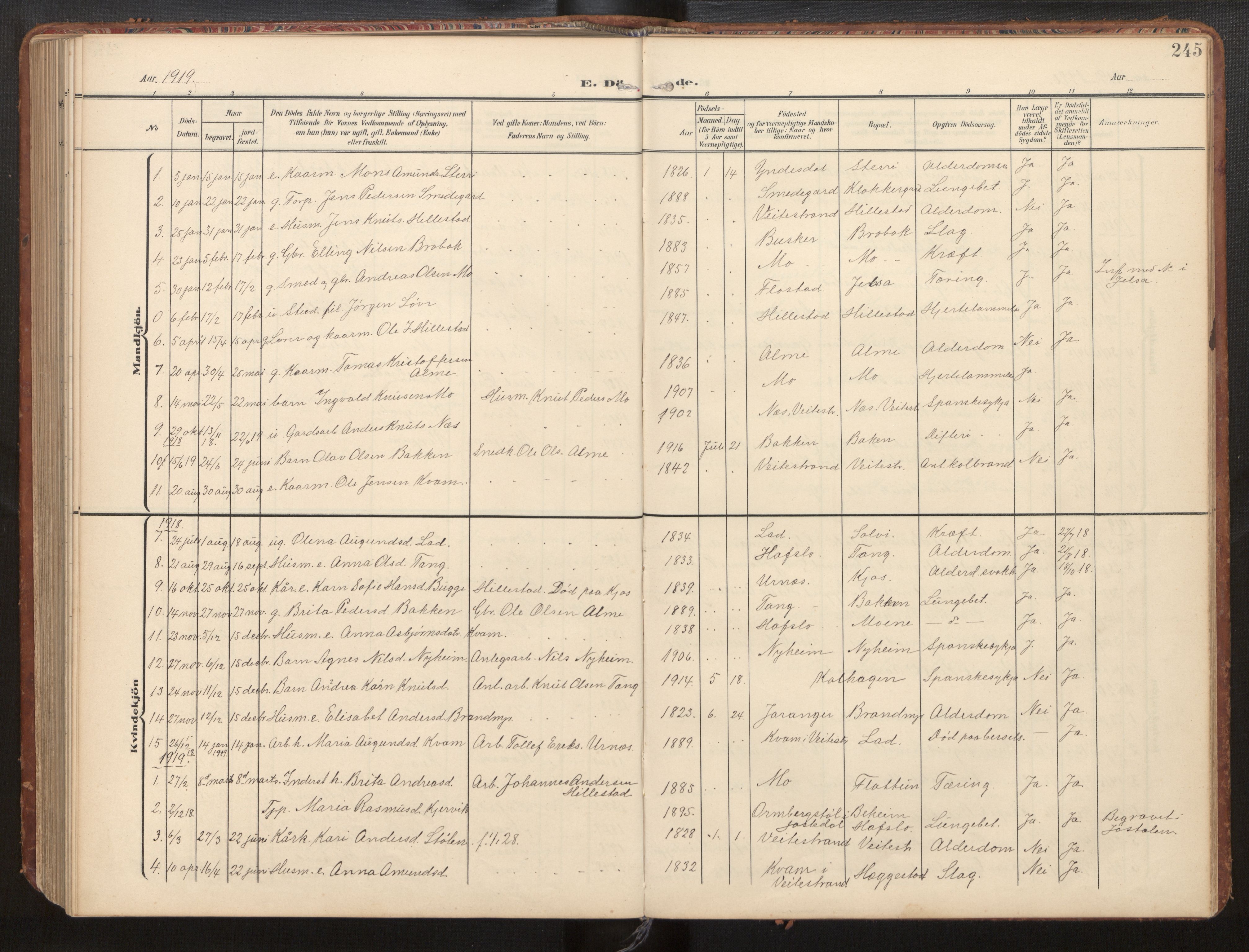 Hafslo sokneprestembete, AV/SAB-A-80301/H/Hab/Habb/L0002: Klokkerbok nr. B 2, 1909-1947, s. 245