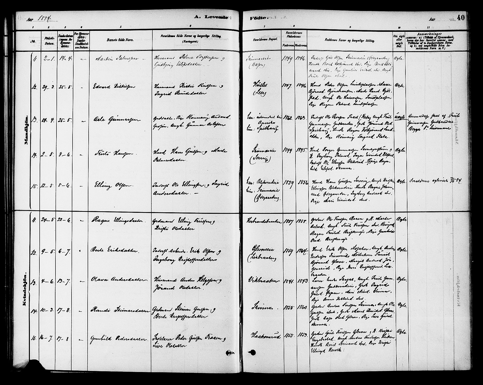 Krødsherad kirkebøker, AV/SAKO-A-19/G/Ga/L0001: Klokkerbok nr. 1, 1879-1893, s. 40