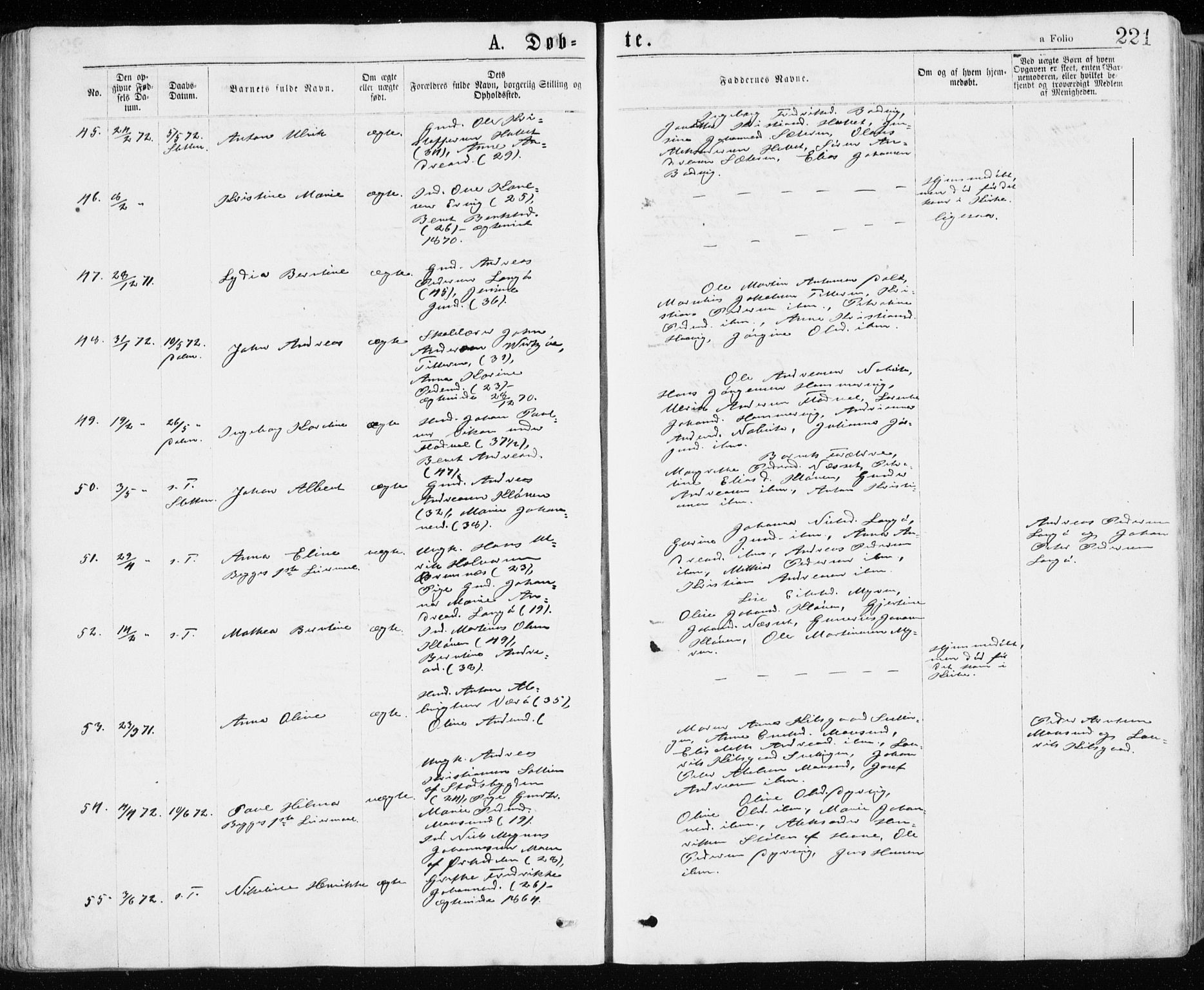 Ministerialprotokoller, klokkerbøker og fødselsregistre - Sør-Trøndelag, AV/SAT-A-1456/640/L0576: Ministerialbok nr. 640A01, 1846-1876, s. 221