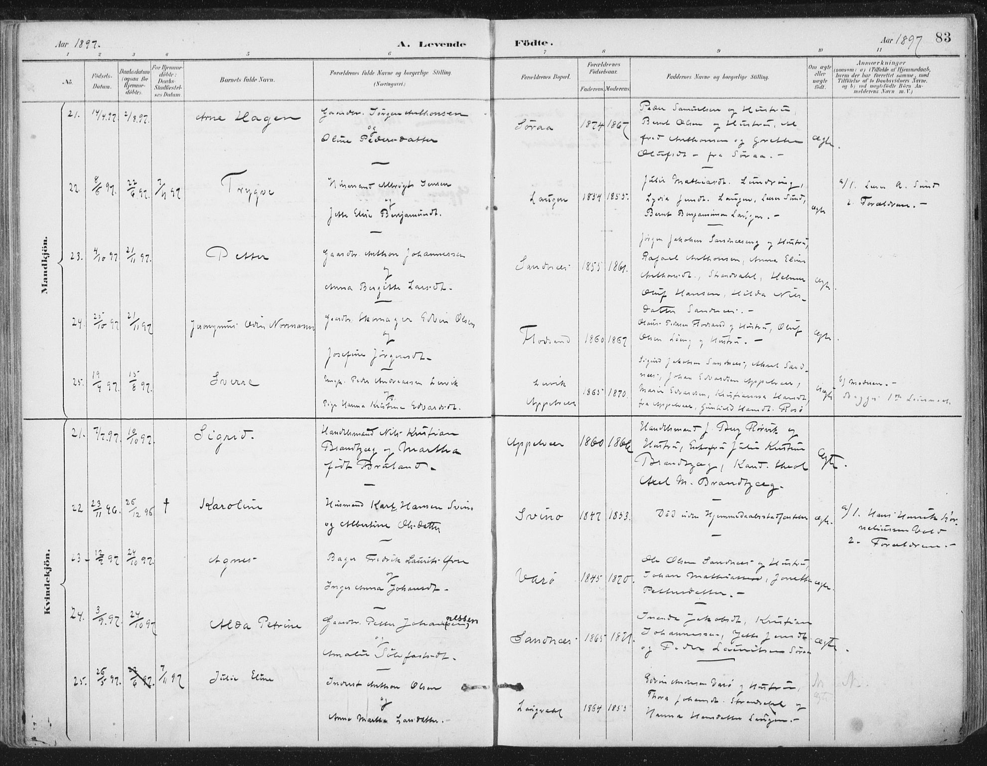 Ministerialprotokoller, klokkerbøker og fødselsregistre - Nord-Trøndelag, AV/SAT-A-1458/784/L0673: Ministerialbok nr. 784A08, 1888-1899, s. 83