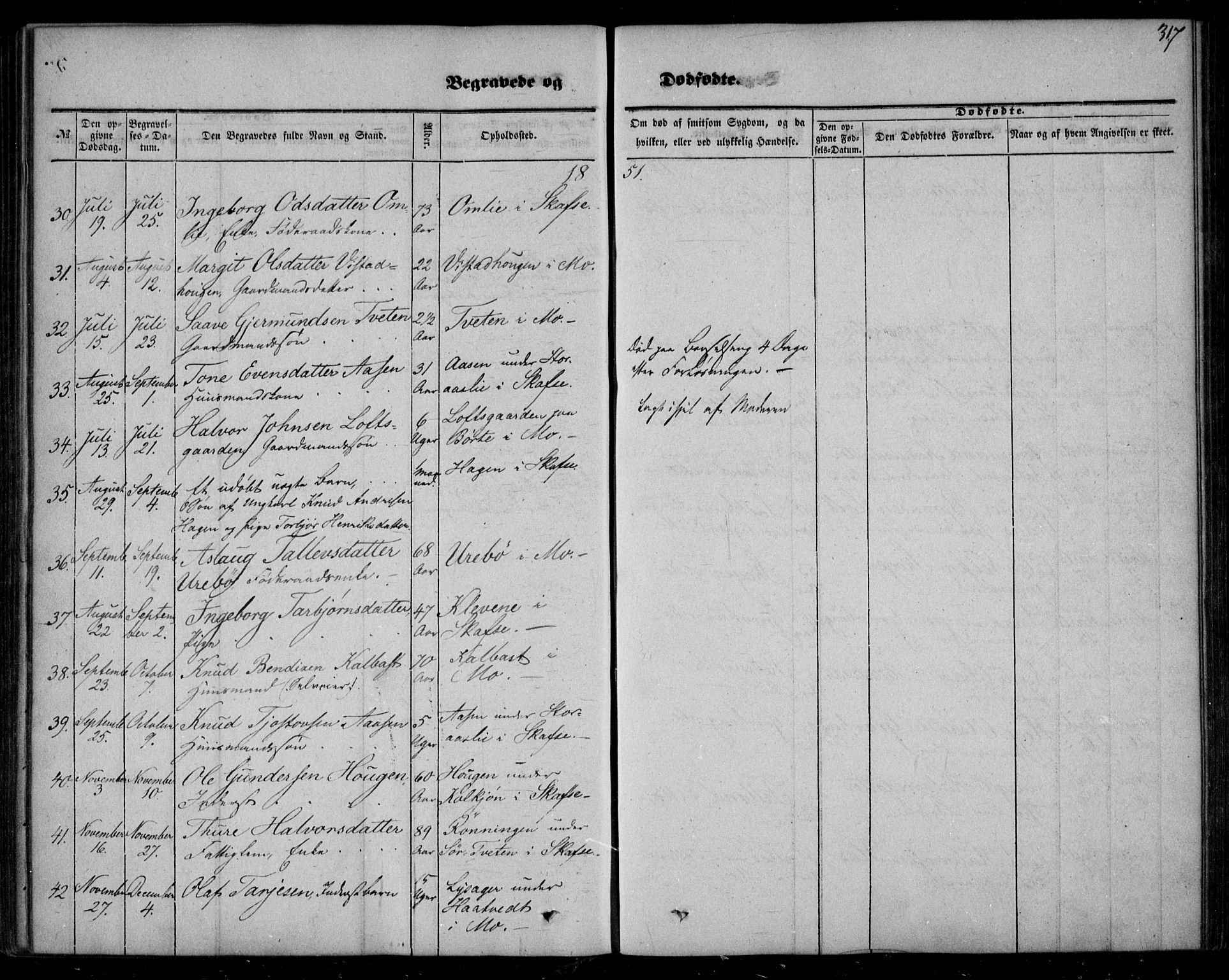 Mo kirkebøker, AV/SAKO-A-286/F/Fa/L0005: Ministerialbok nr. I 5, 1844-1864, s. 317