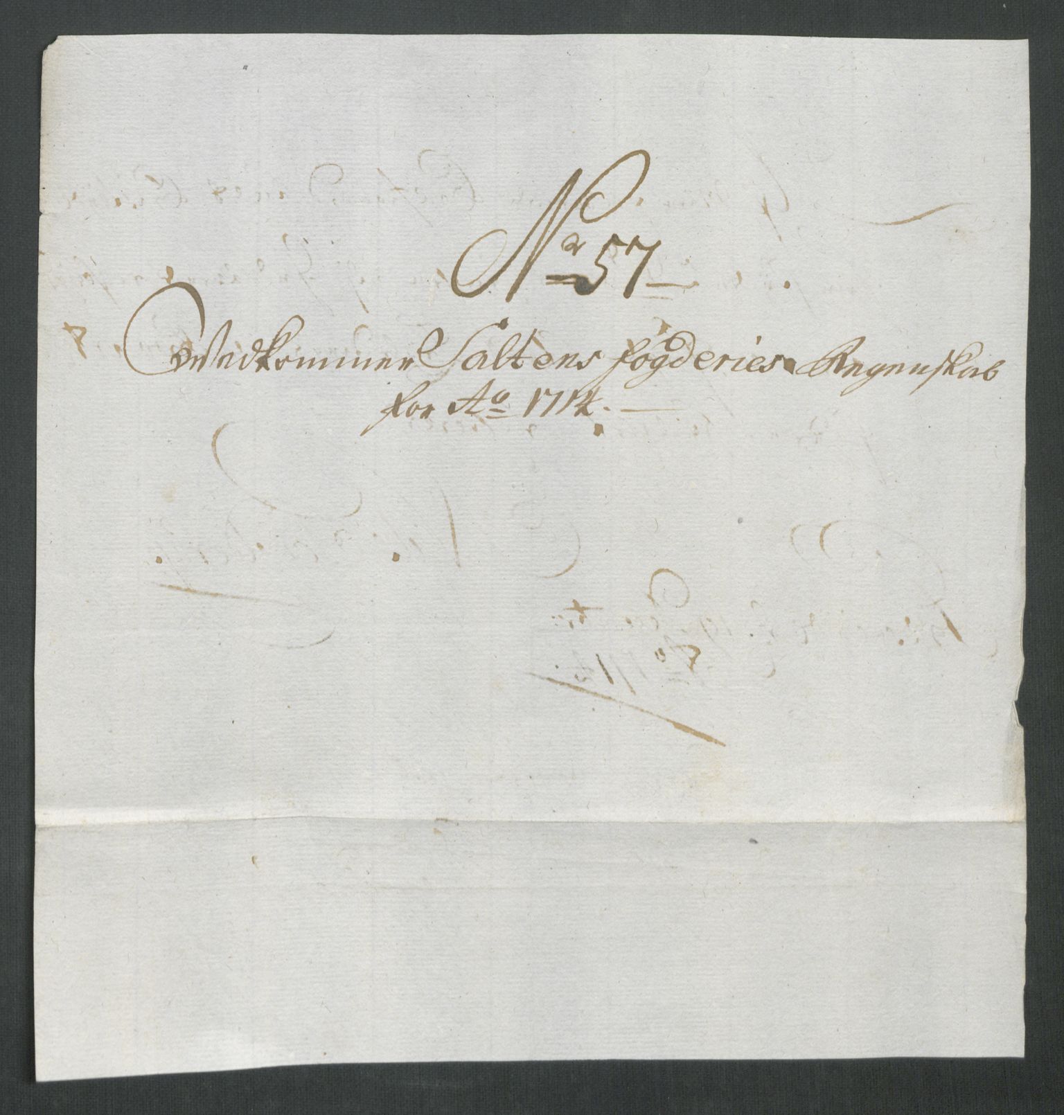 Rentekammeret inntil 1814, Reviderte regnskaper, Fogderegnskap, AV/RA-EA-4092/R66/L4584: Fogderegnskap Salten, 1714, s. 324