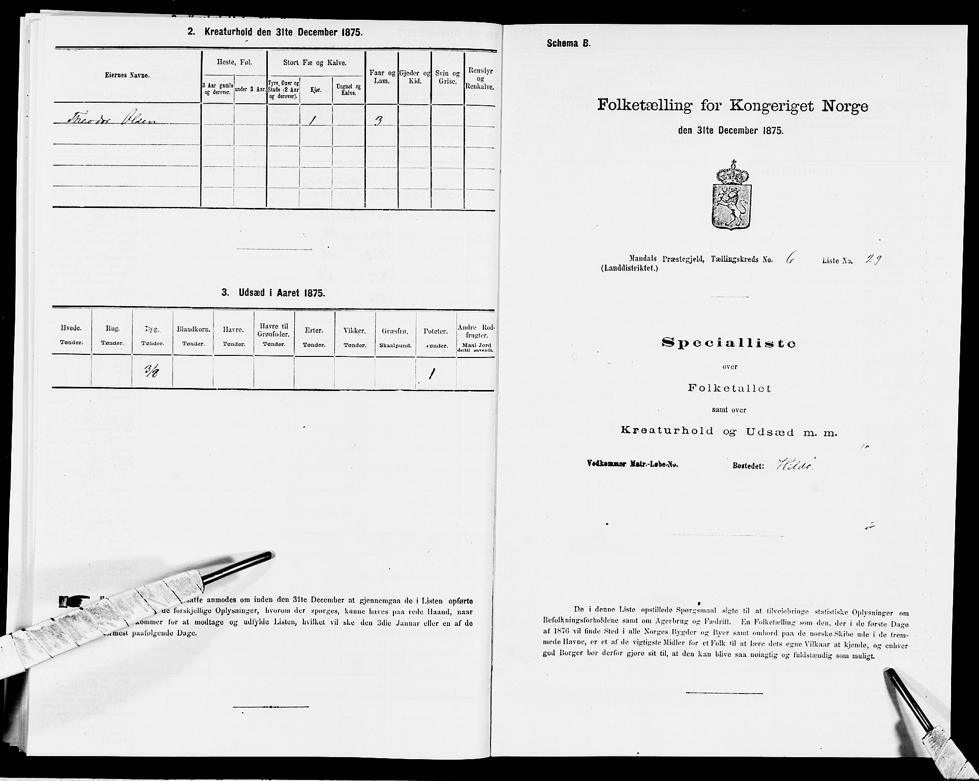 SAK, Folketelling 1875 for 1019L Mandal prestegjeld, Halse sokn og Harkmark sokn, 1875, s. 1010