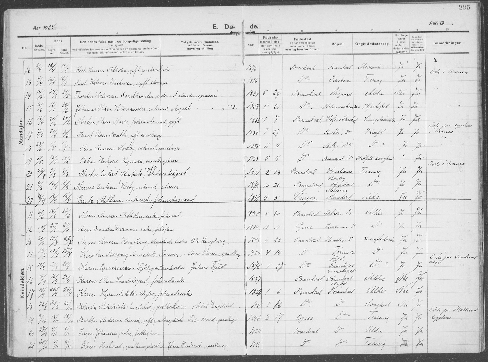 Brandval prestekontor, AV/SAH-PREST-034/H/Ha/Haa/L0004: Ministerialbok nr. 4, 1910-1924, s. 295