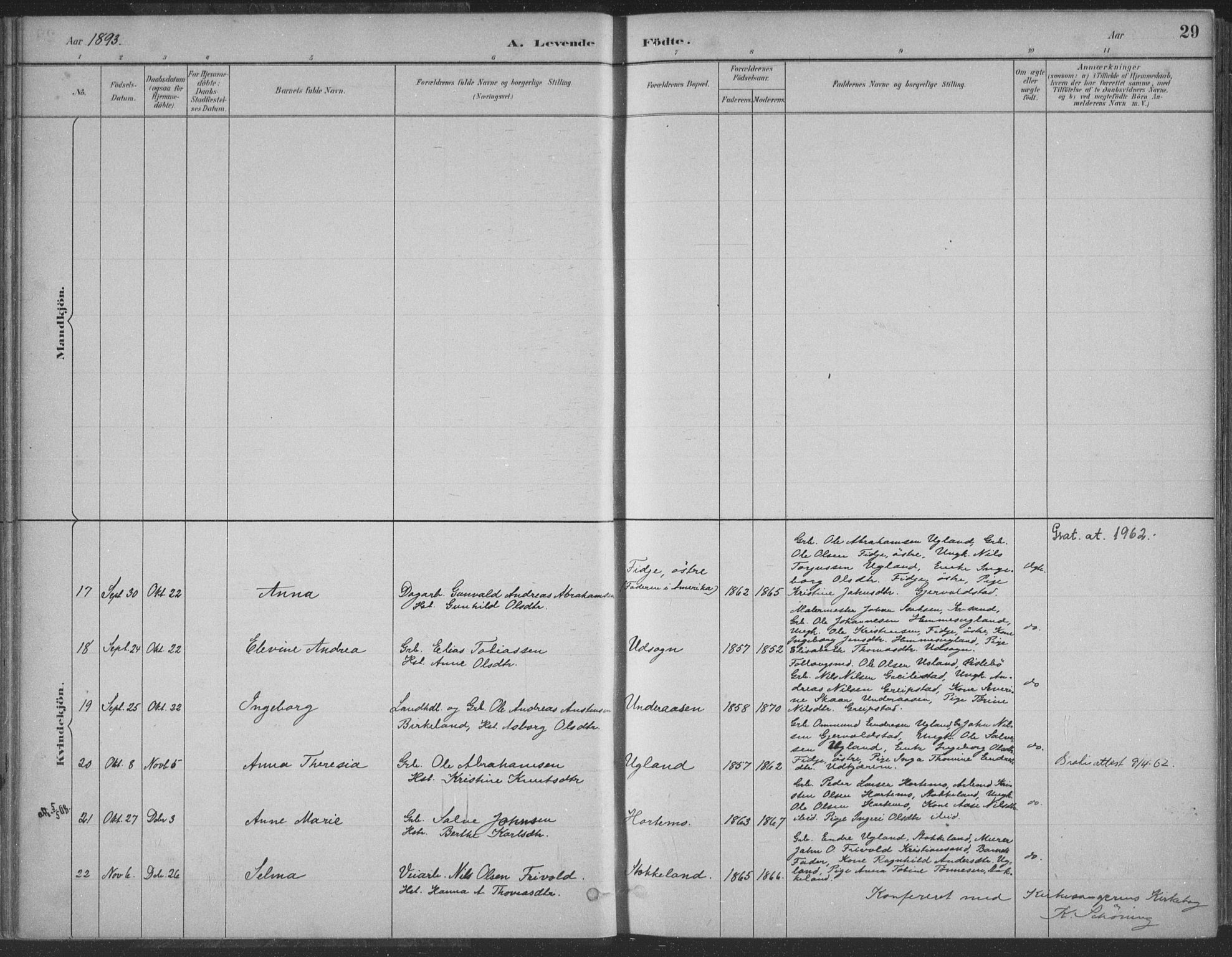 Søgne sokneprestkontor, SAK/1111-0037/F/Fa/Faa/L0003: Ministerialbok nr. A 3, 1883-1910, s. 29