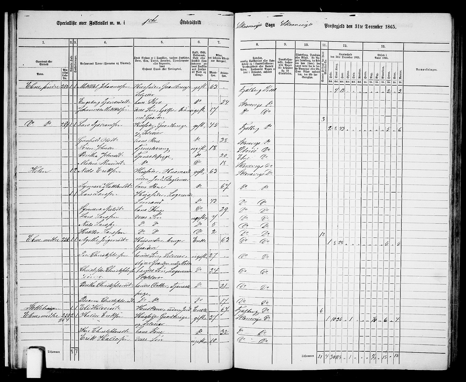 RA, Folketelling 1865 for 1212P Skånevik prestegjeld, 1865, s. 13