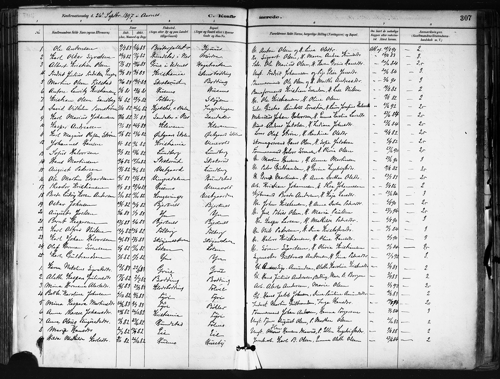 Nes prestekontor Kirkebøker, AV/SAO-A-10410/F/Fa/L0010: Ministerialbok nr. I 10, 1883-1898, s. 307