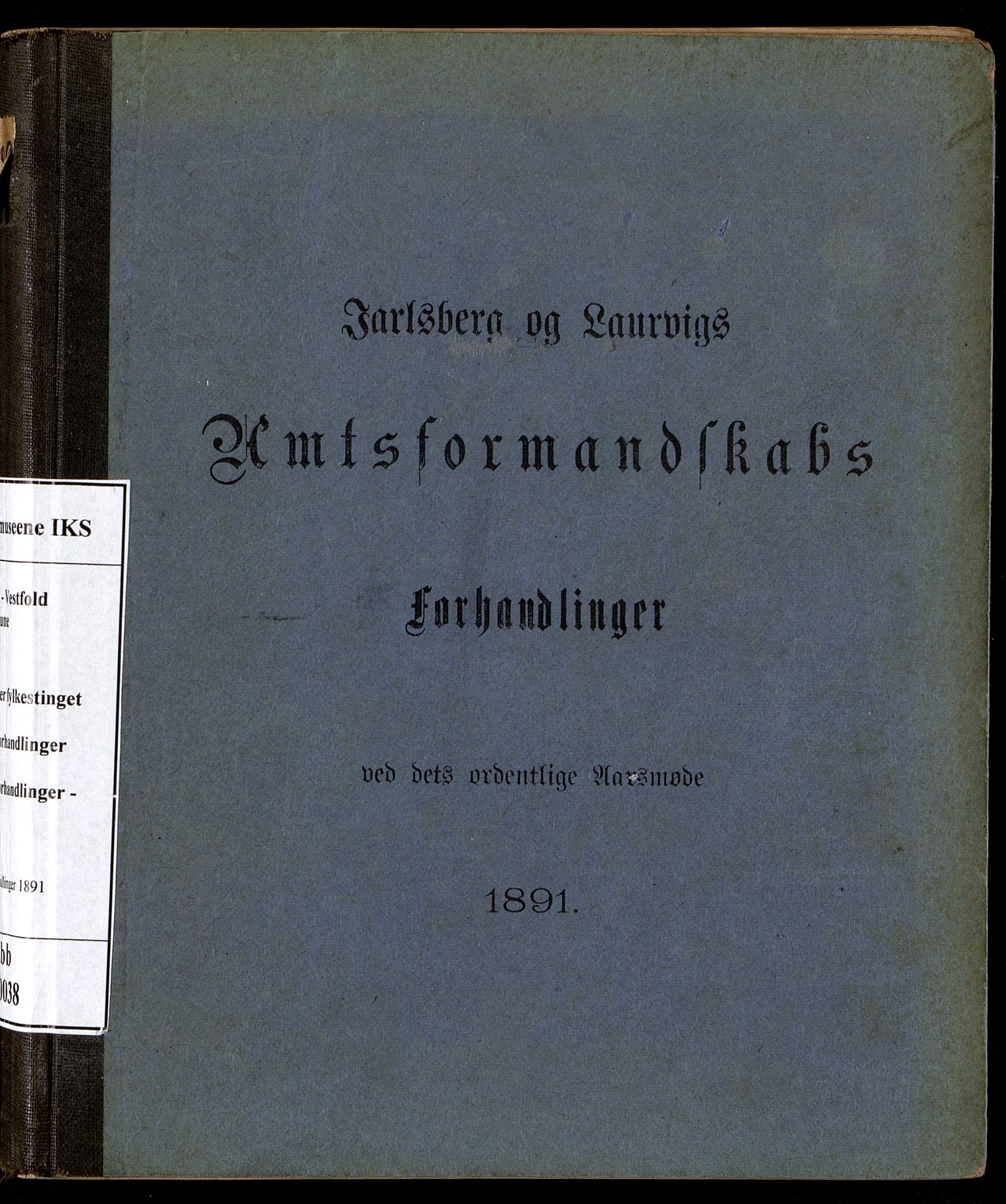 Vestfold fylkeskommune. Fylkestinget, VEMU/A-1315/A/Ab/Abb/L0038: Fylkestingsforhandlinger, 1891