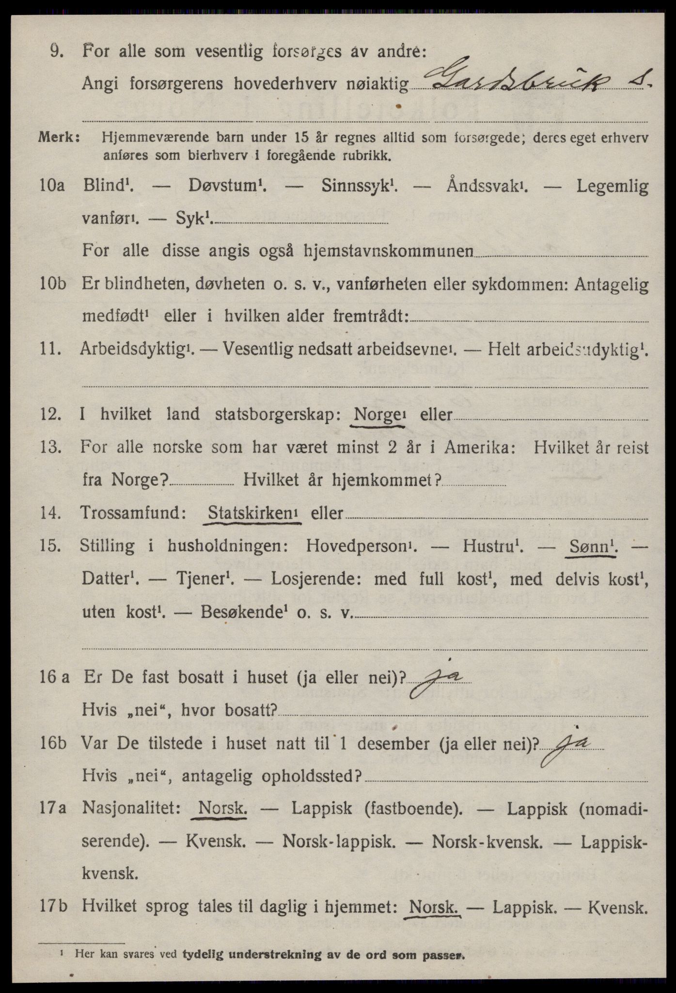 SAT, Folketelling 1920 for 1653 Melhus herred, 1920, s. 4960